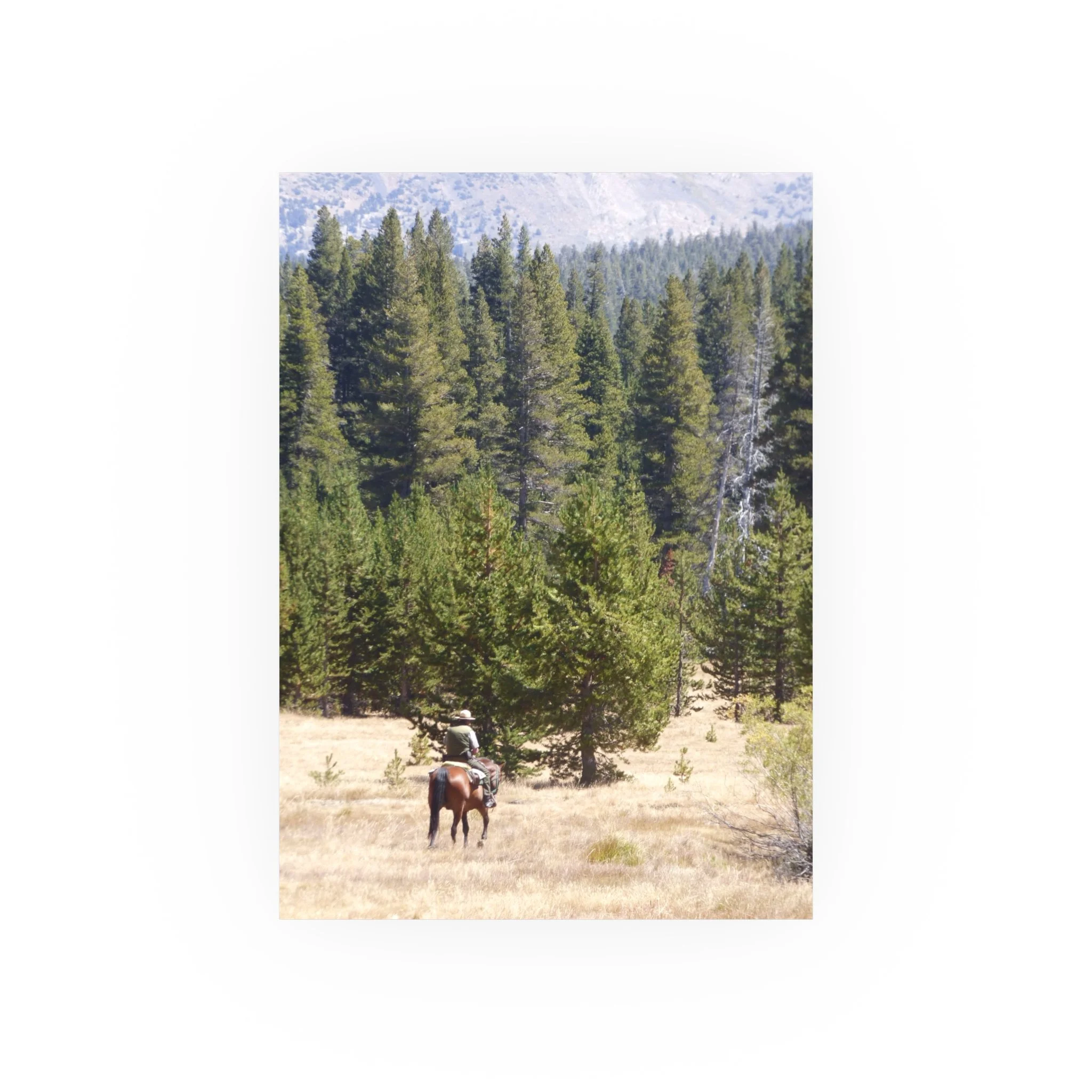 b12b9981ea4b460ede98e64c414f571c