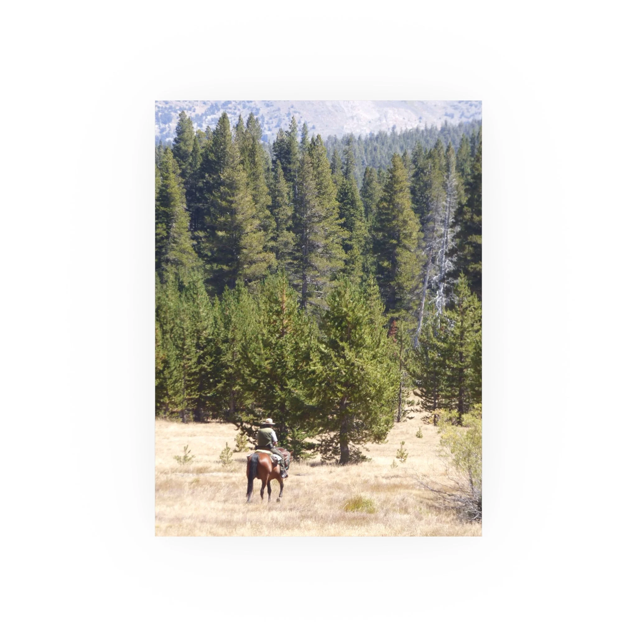 8889c161dc724833b32339a6b6de08df