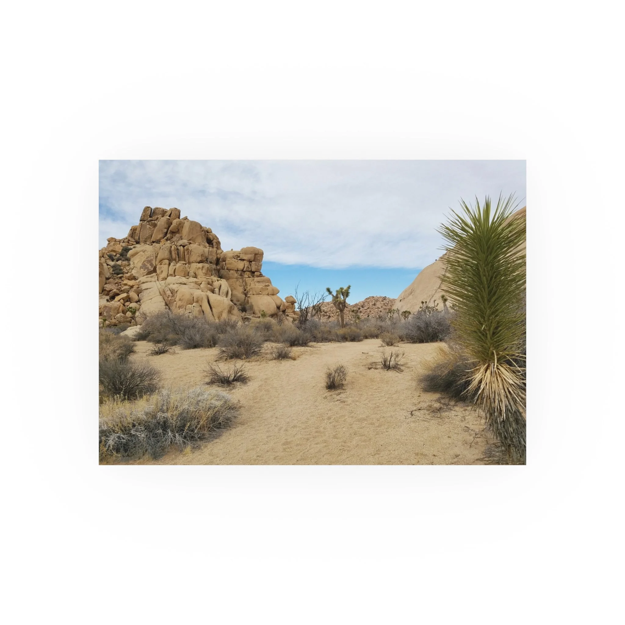 2b4c51b0f84fee8294345168101c996e