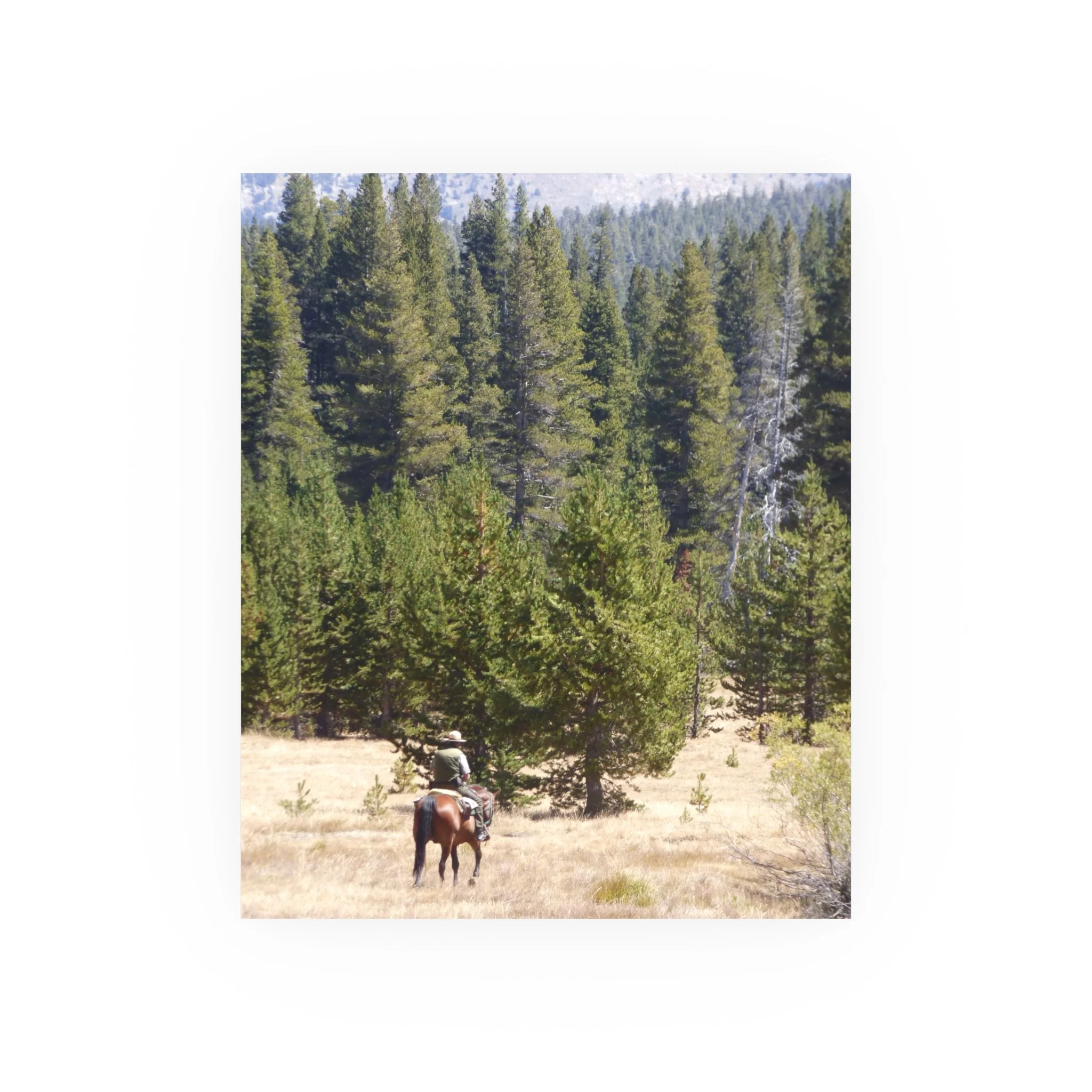 b386ef290890ede0f983e2eb3be225ee