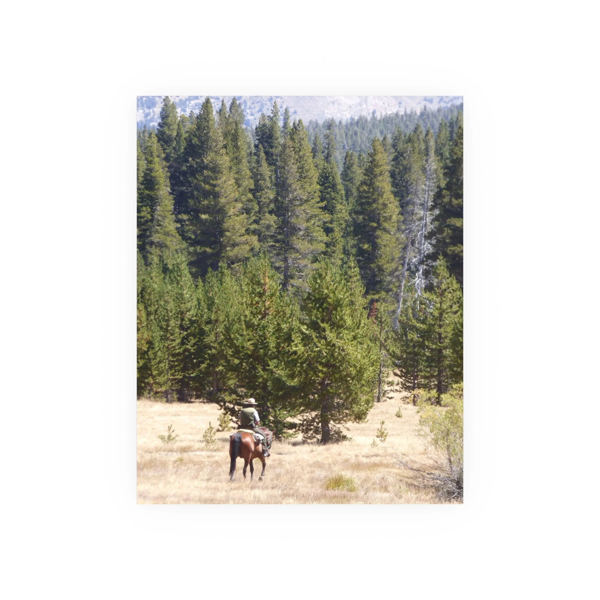 2b3ebe7a3469e8405d575b8f73144f10