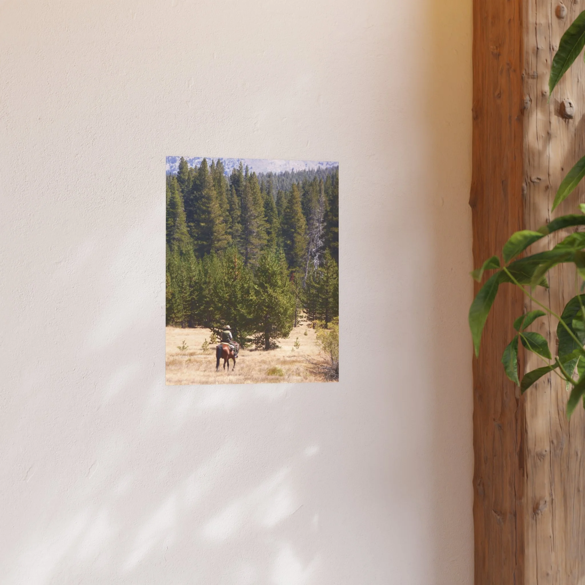 14d472fdf4e020f3fa1783952e580441