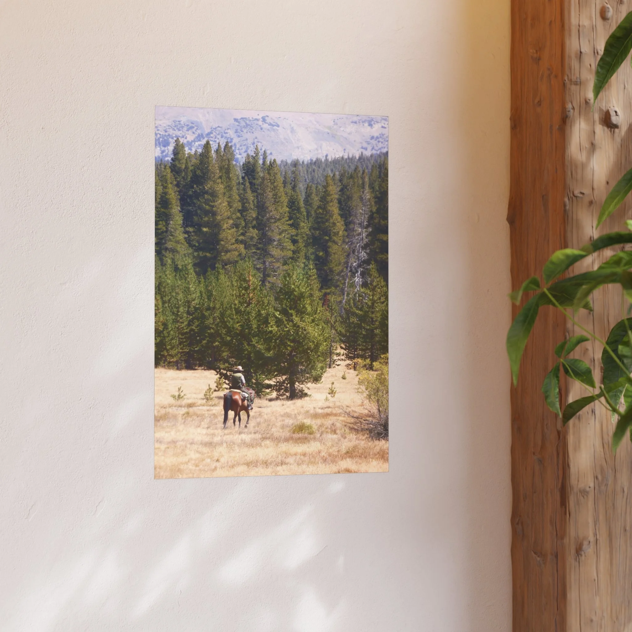 972f738ffb54ddbea21c84671ca7e4cd