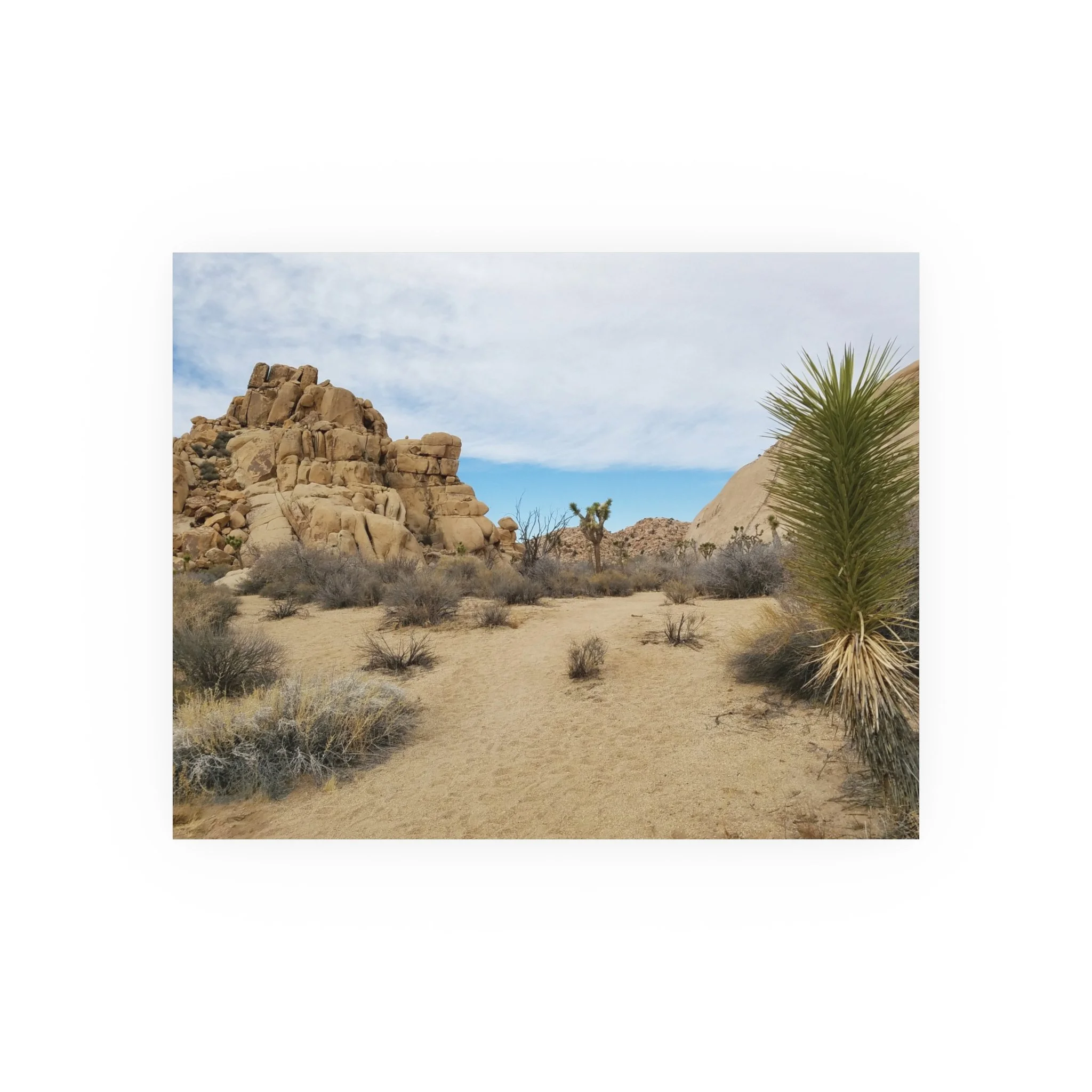 cc15f82562b49fe45833622df64c1d89