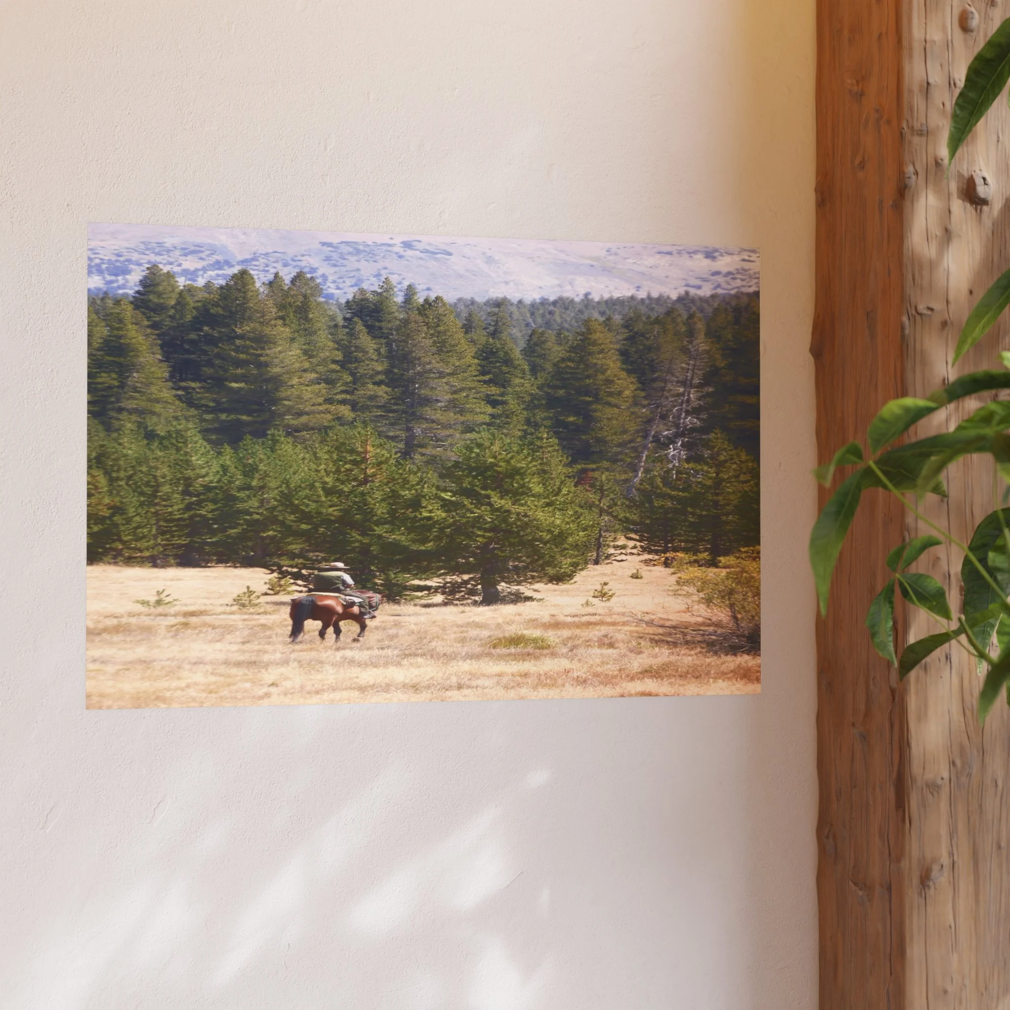 3636e7f1a496664794963efd3ac1e72a