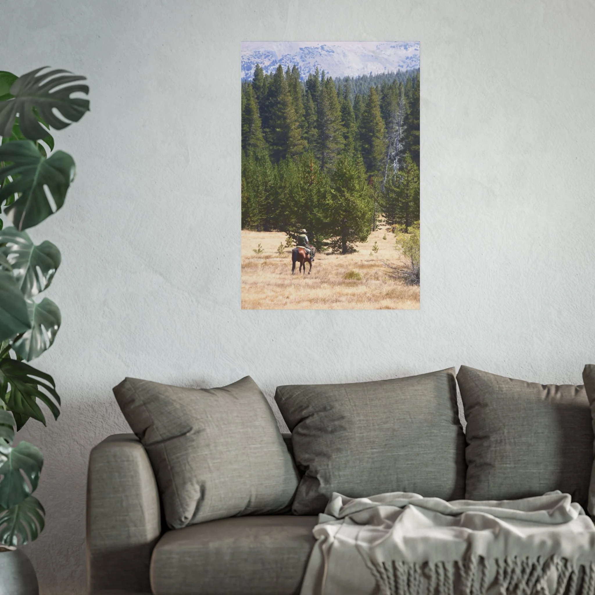 a017b914a1ba186609d5ff234b9cee36