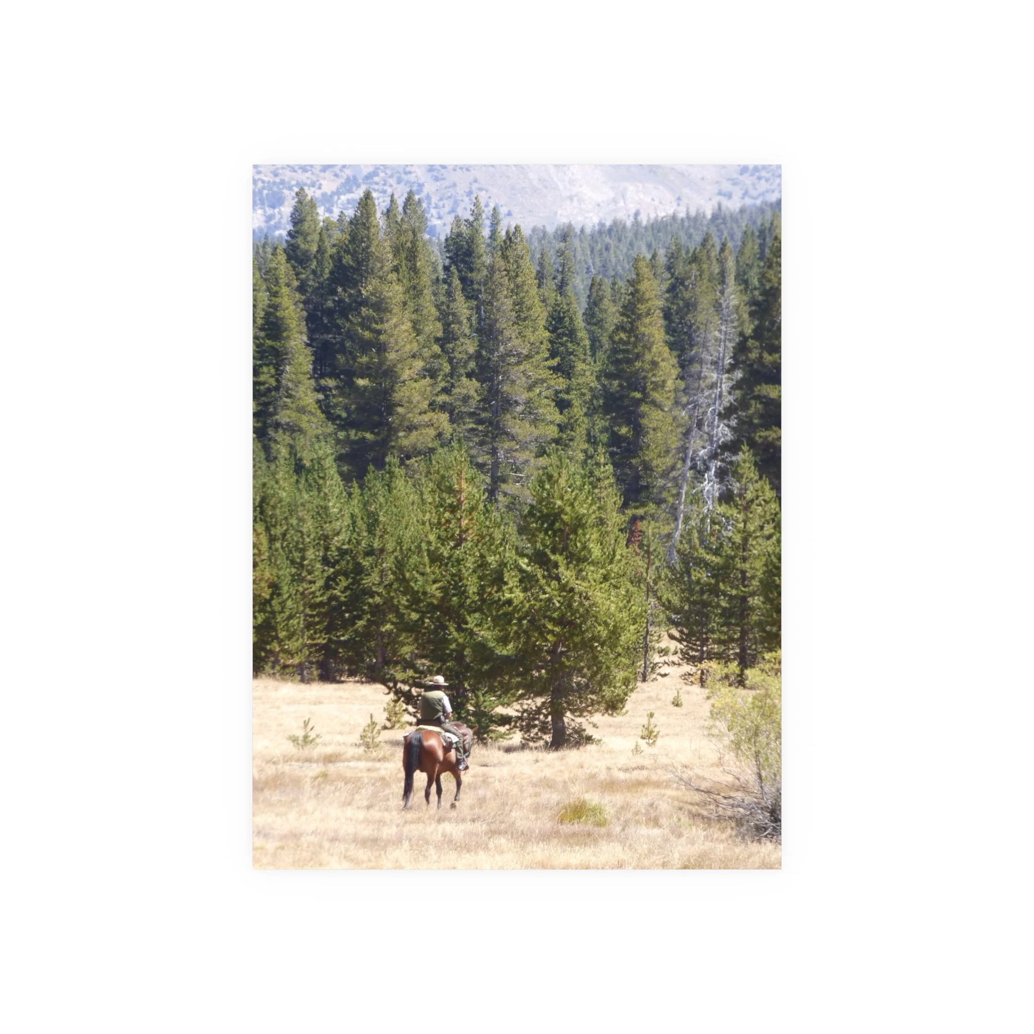 309a979a95ff0fd4b82480da25be4f5a