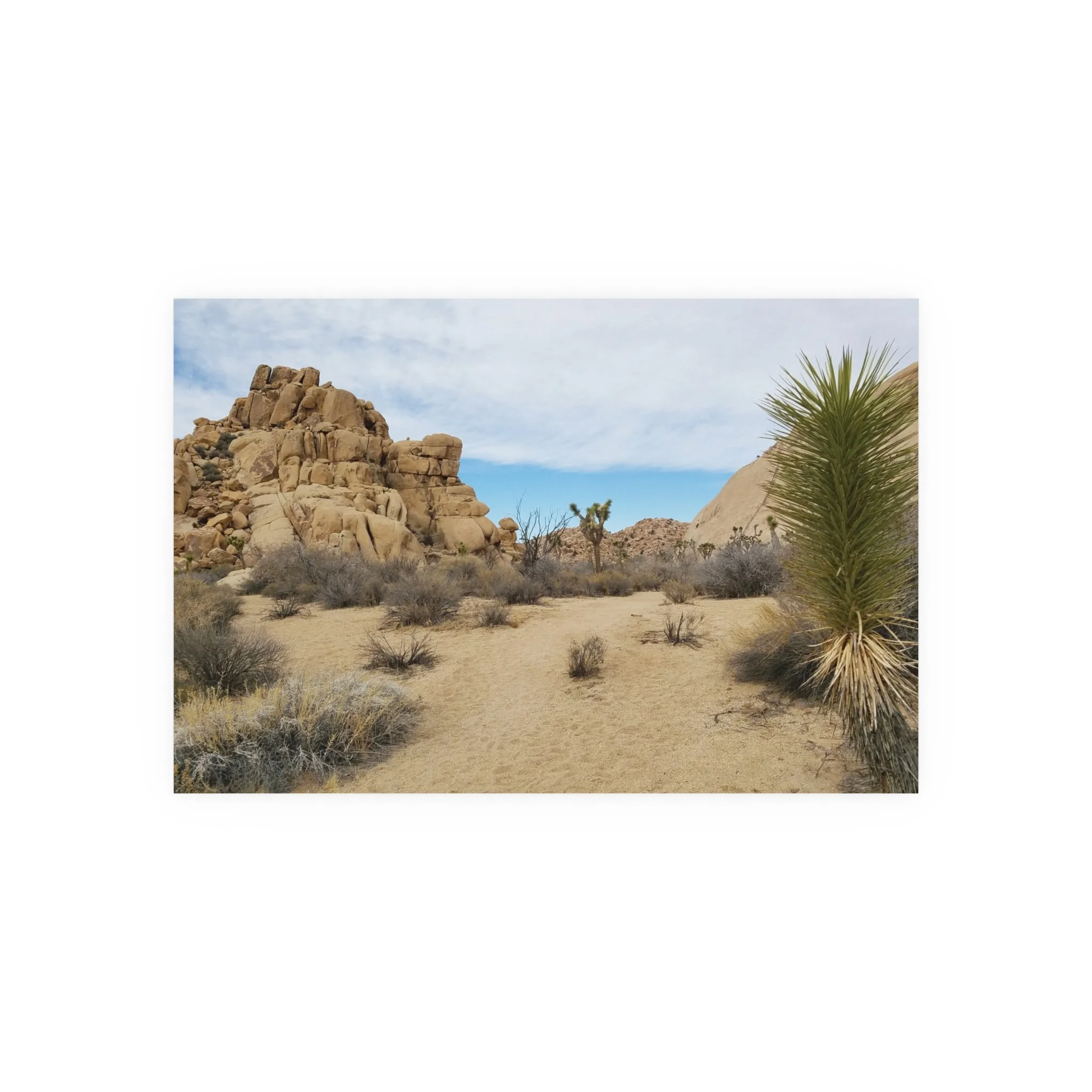 66f13d589d3328e41659a25e3f223667