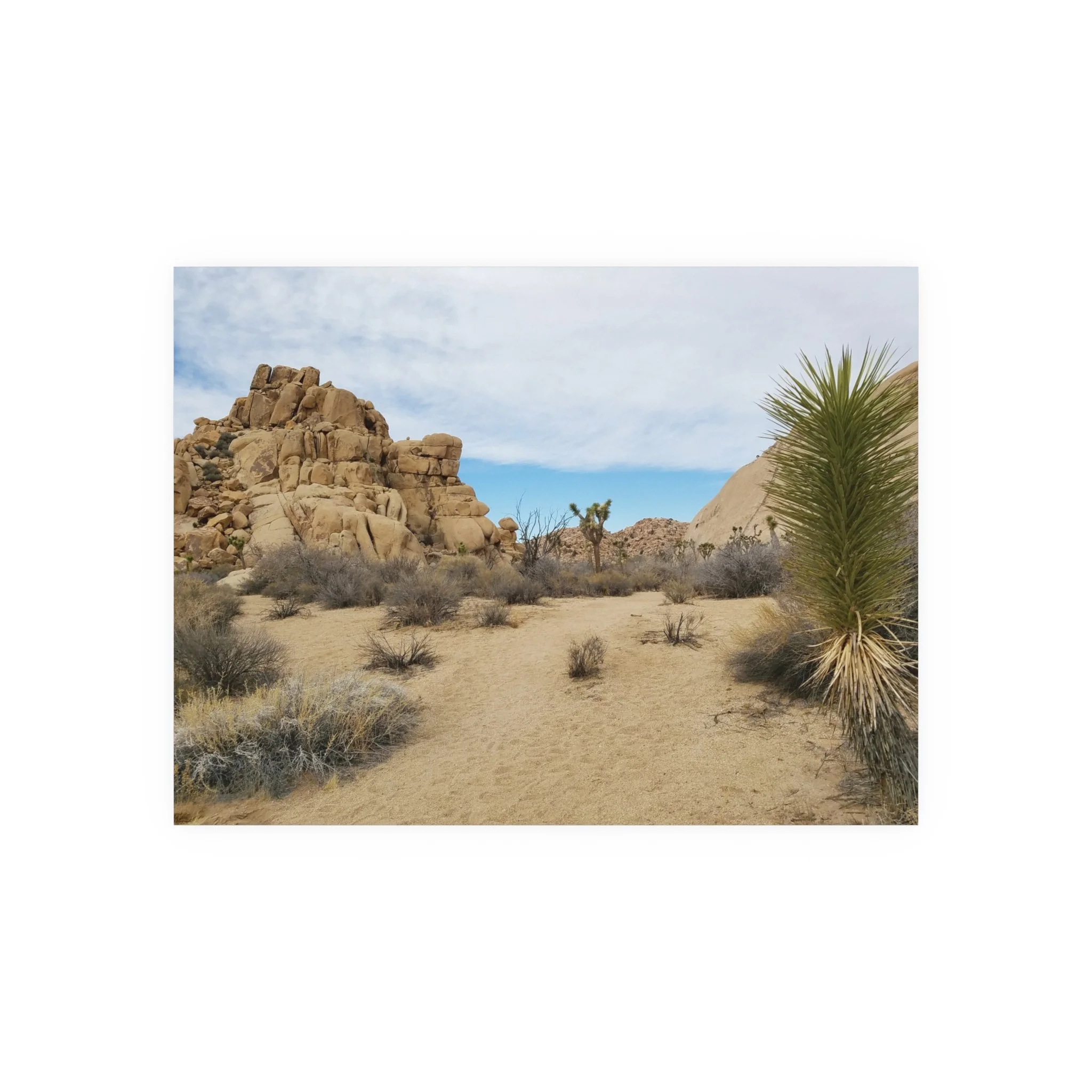 335b094359568ed32067d9073805c67e