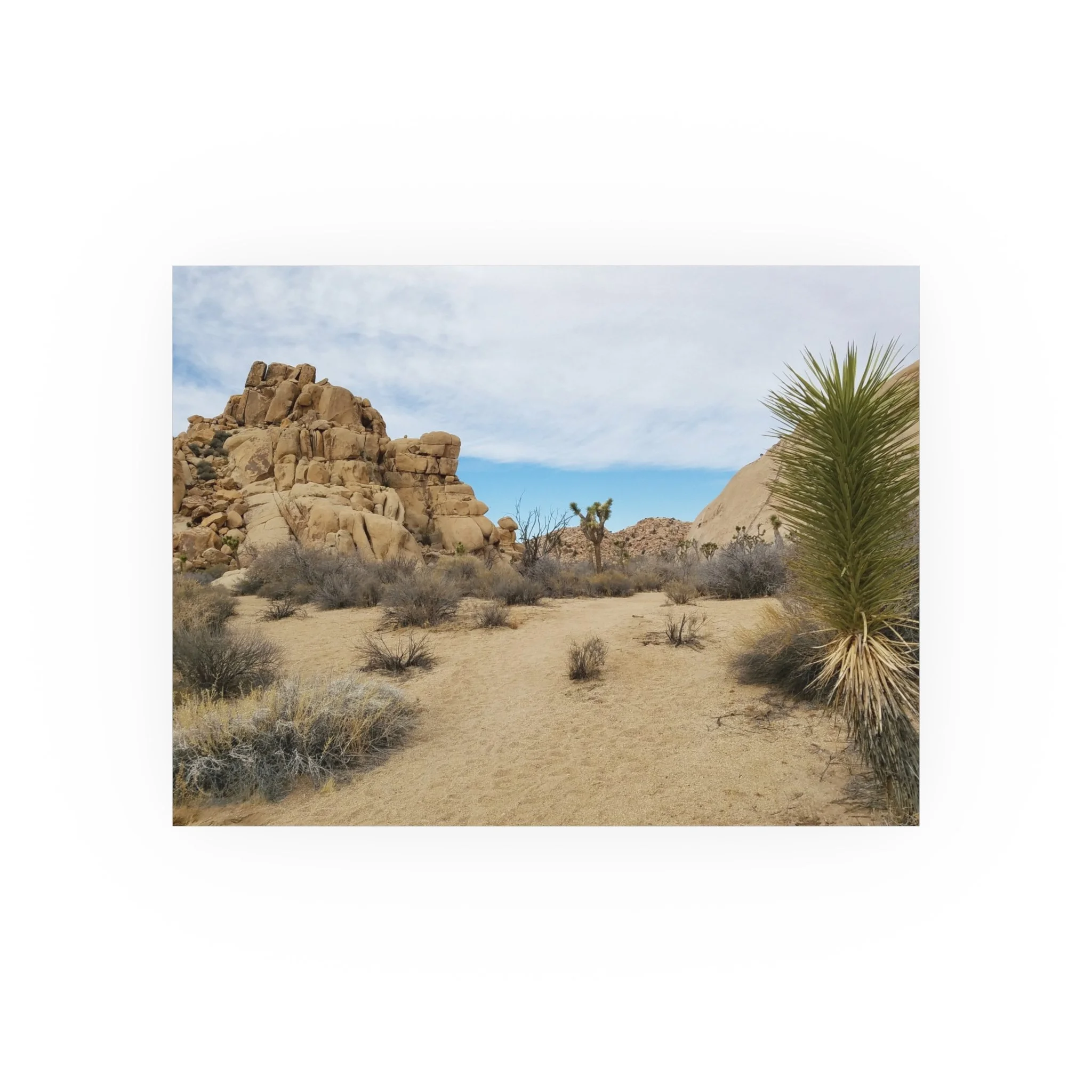 9a079369f58d69e9ef953fca8823d18f