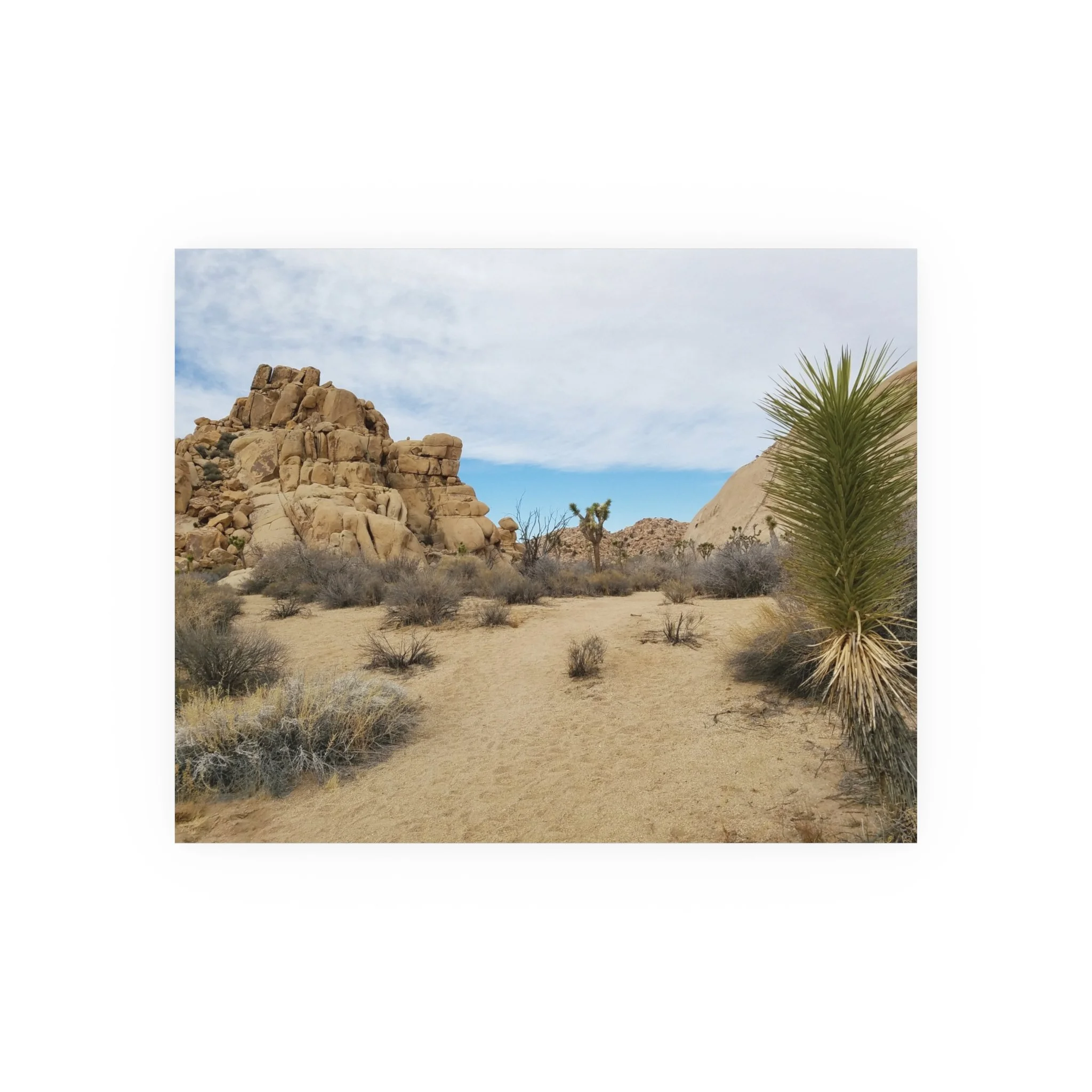 4b53fc20e4ca0ee3714c9b576be09206