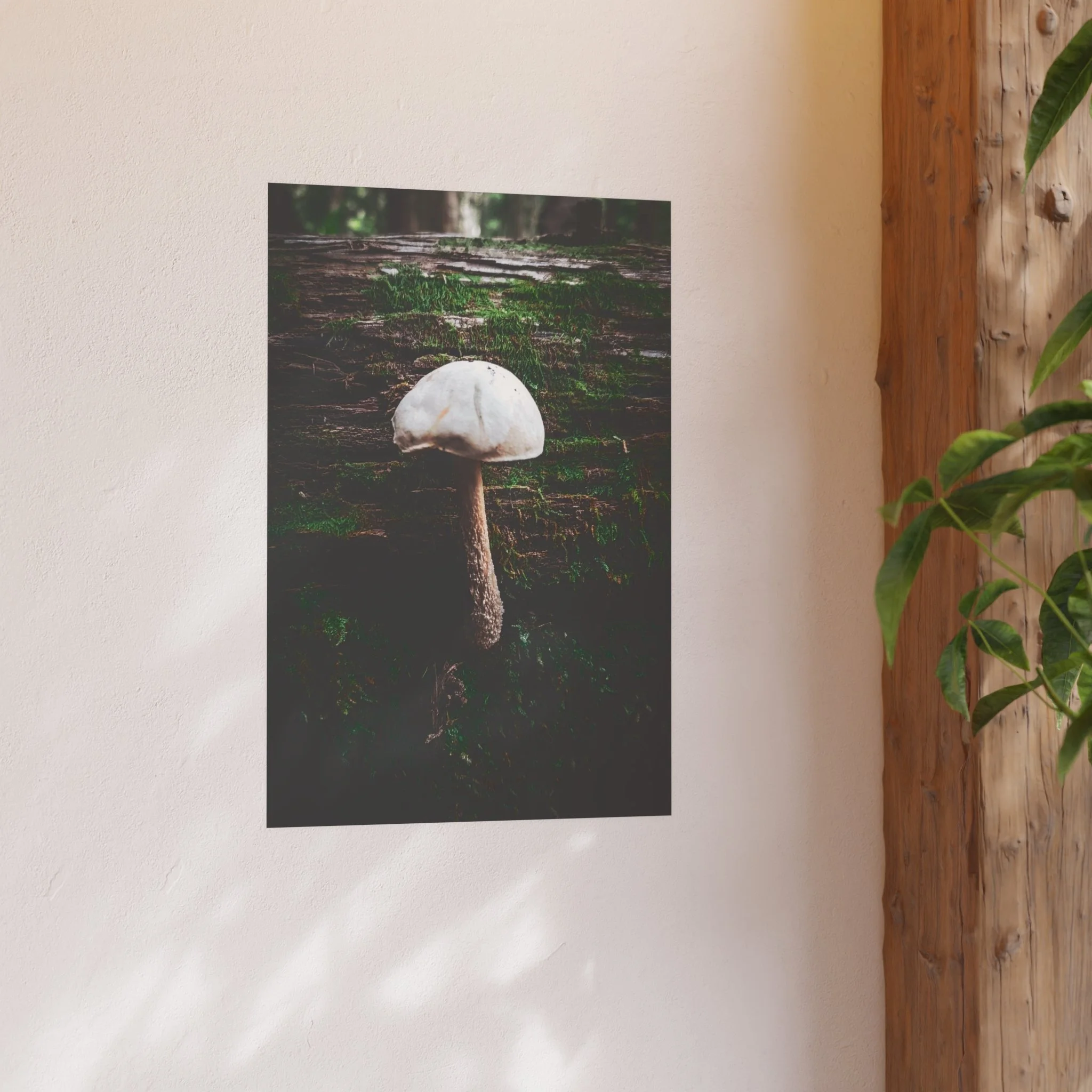 fe36ed3d4d84bcc8be02767a3a69b0e2