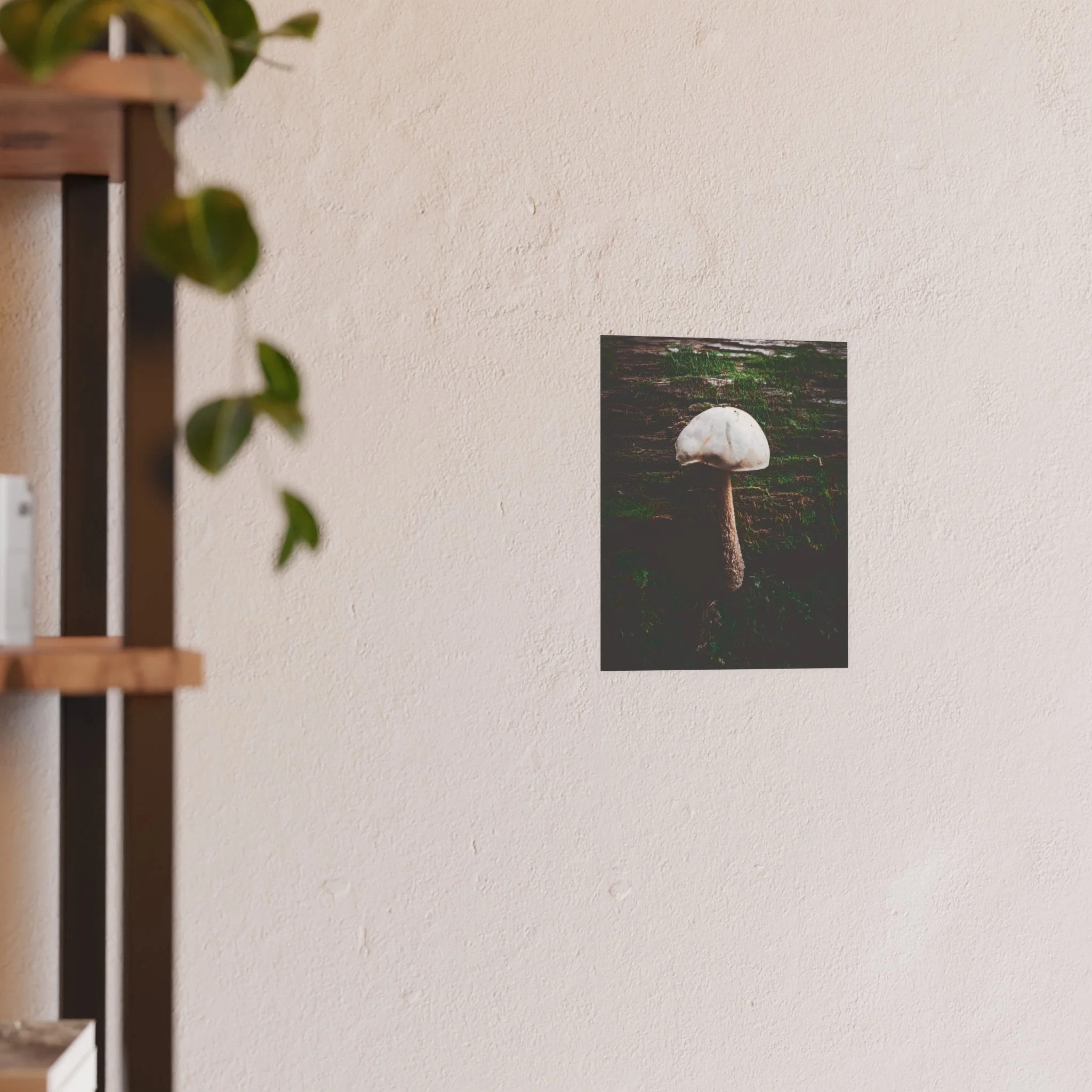 ca09334359c85de98bb5f3293e7e88b6