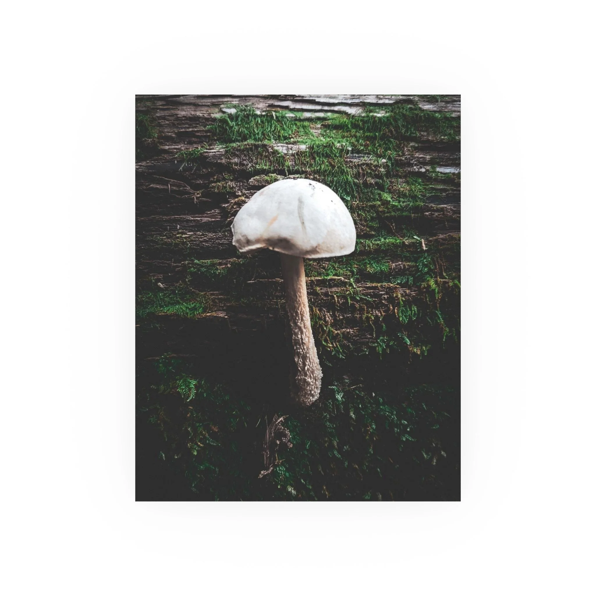 67727dac0ebc8d83d69b99bde607937d