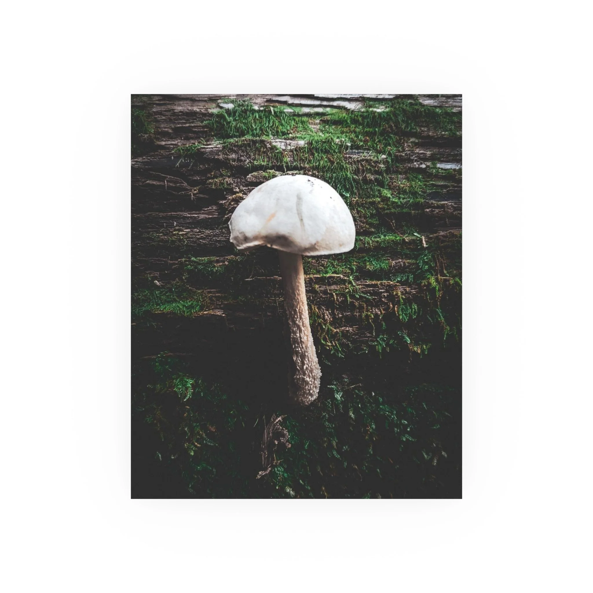 d7e95e40425e24d083816fed3b43f298