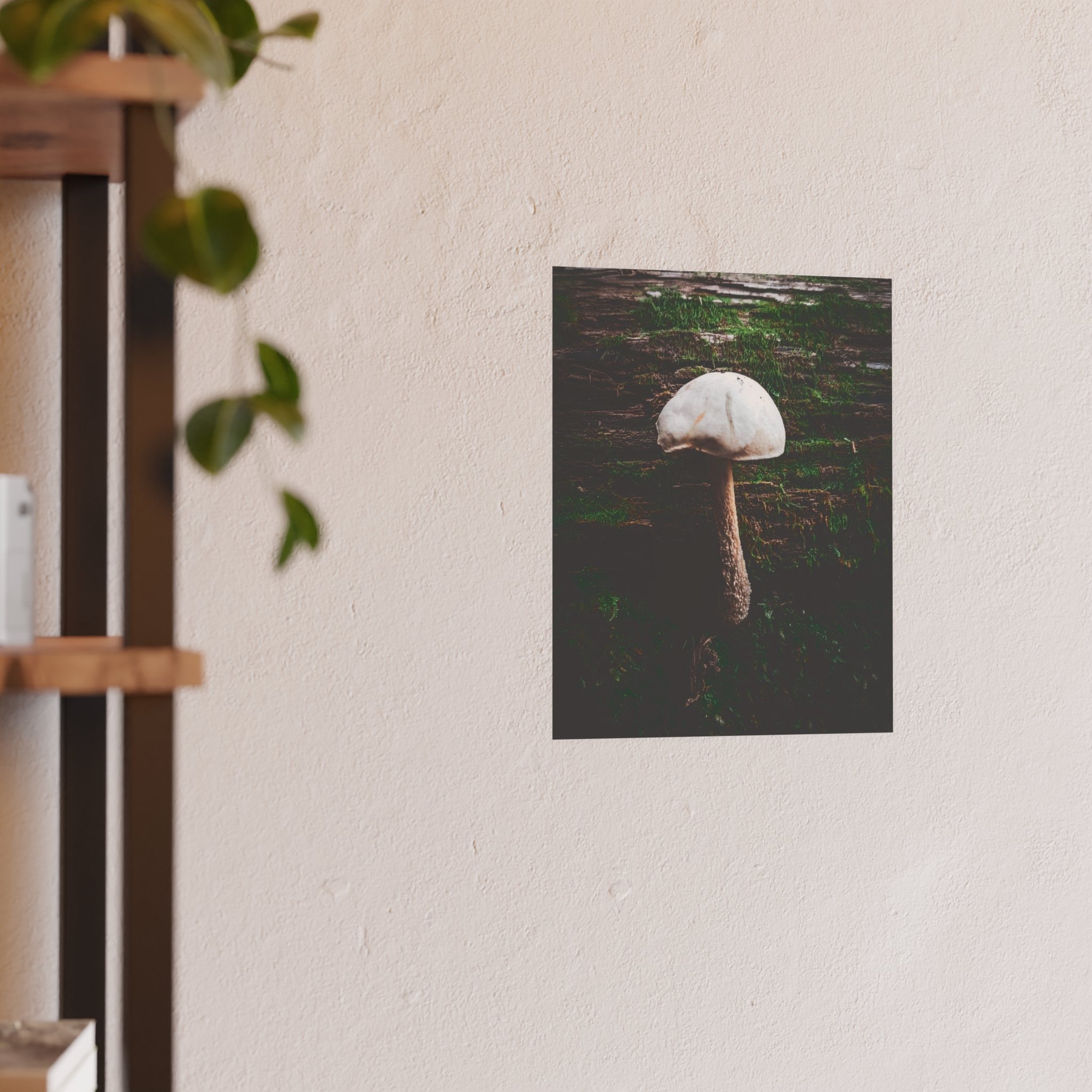 dd65007ccbfa5d9f952b6df6e24641bb