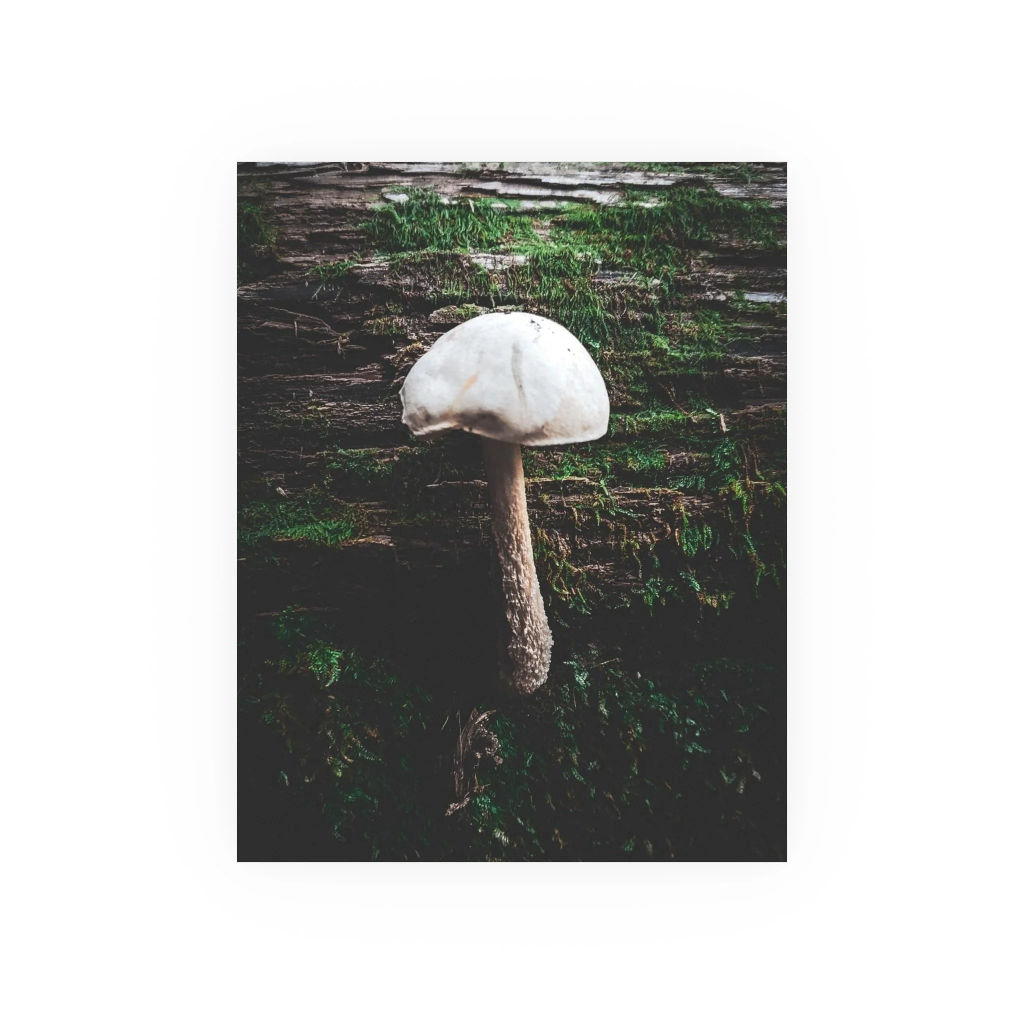 b7bbe50e7af6c42a9e5ad3e7bd1d2473