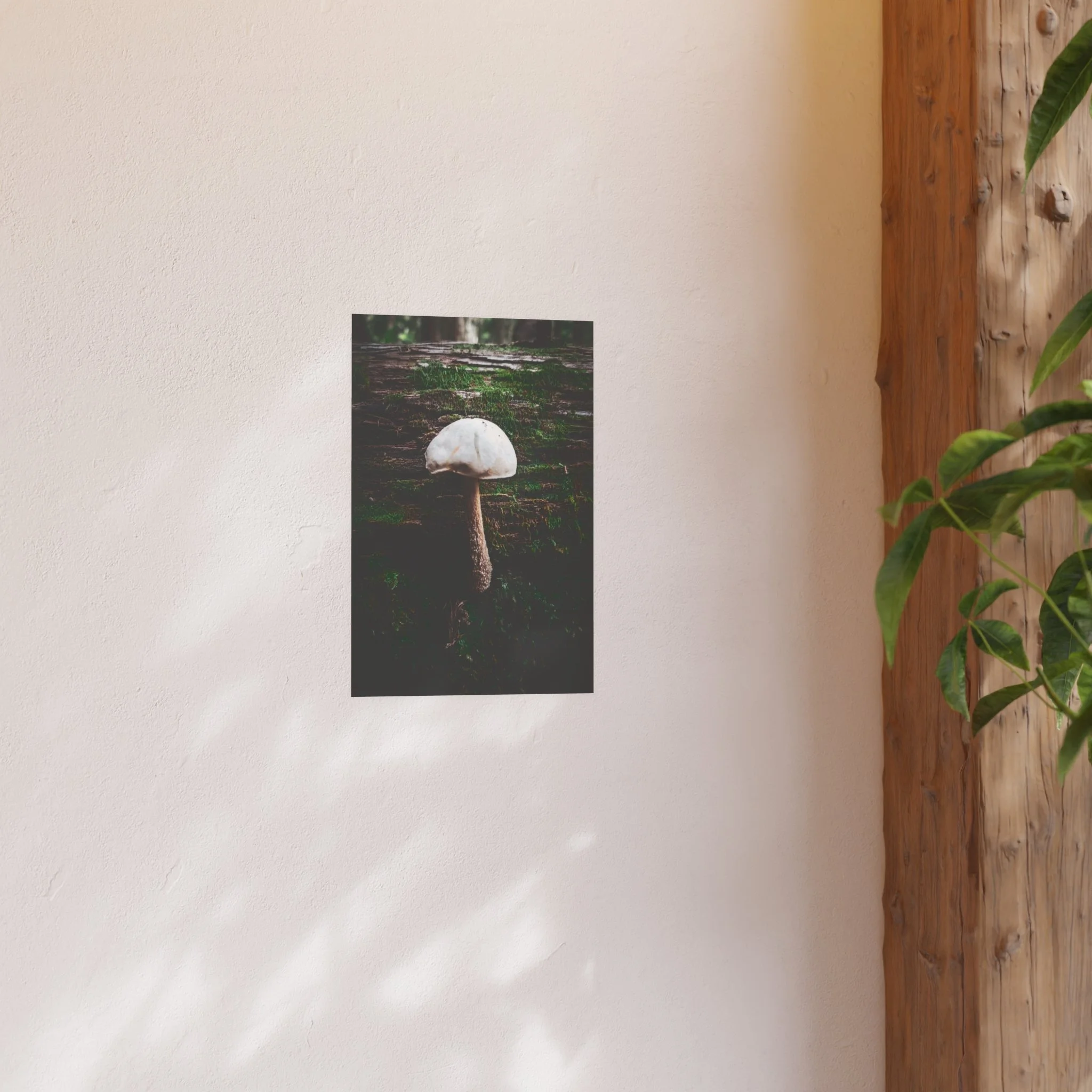 a96aae9e357919227a525ad59a33fcb6