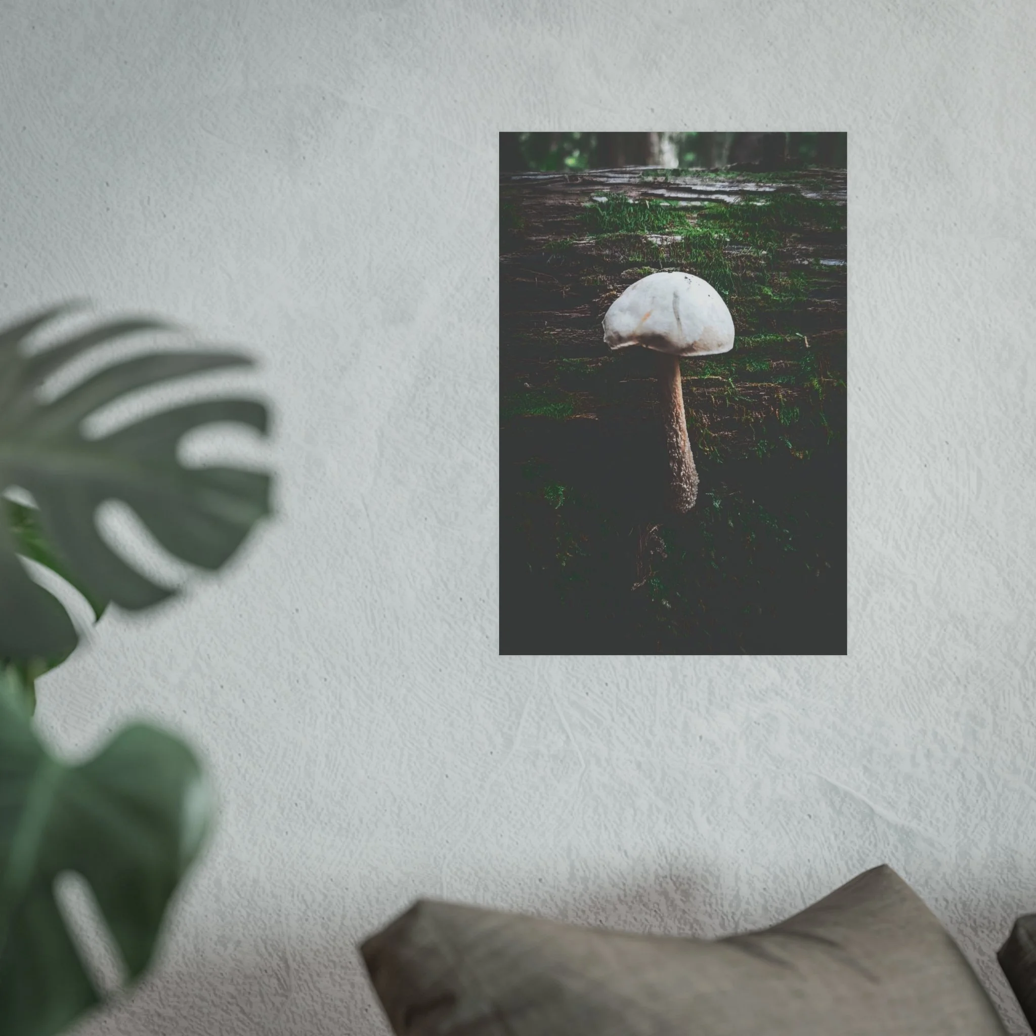 56f165f8ef3a97fd05d54be19ed23891