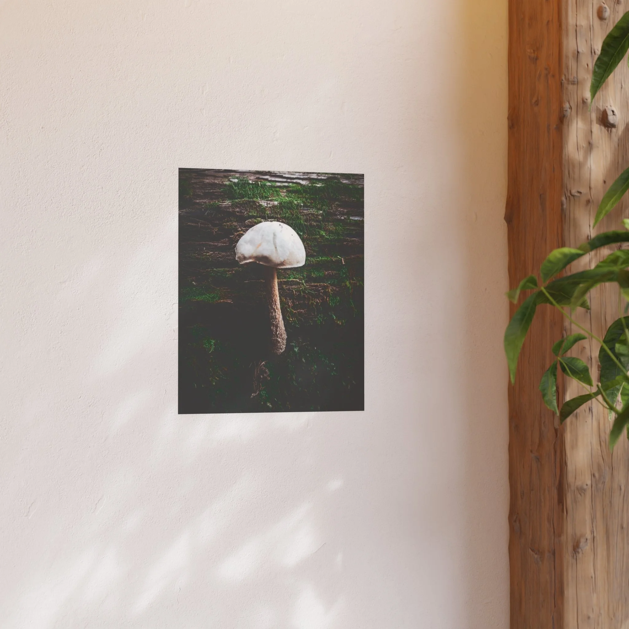 57fb254a14b3e4219438d4b465cc379e