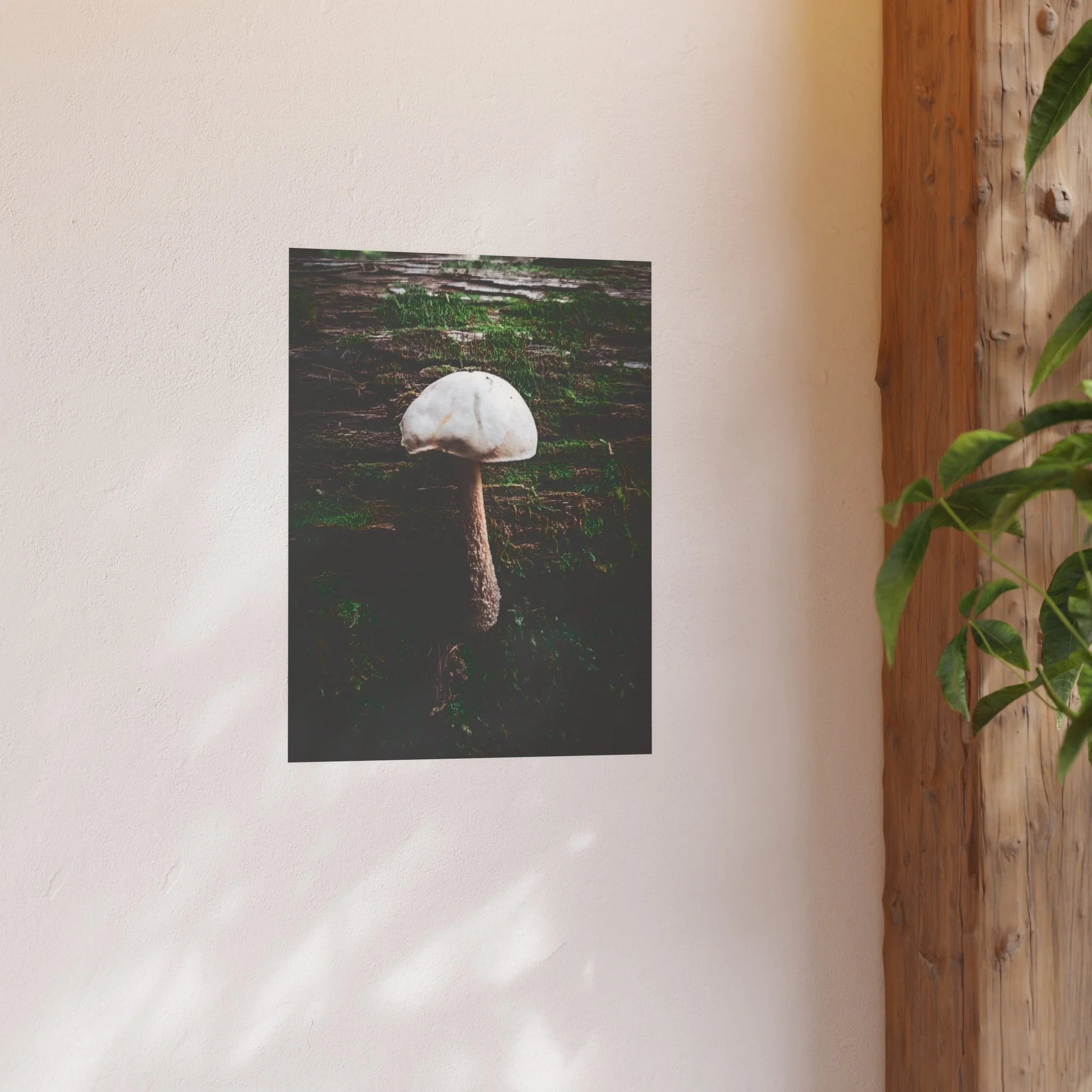 a4e8fe9884719539bced65b53200d051