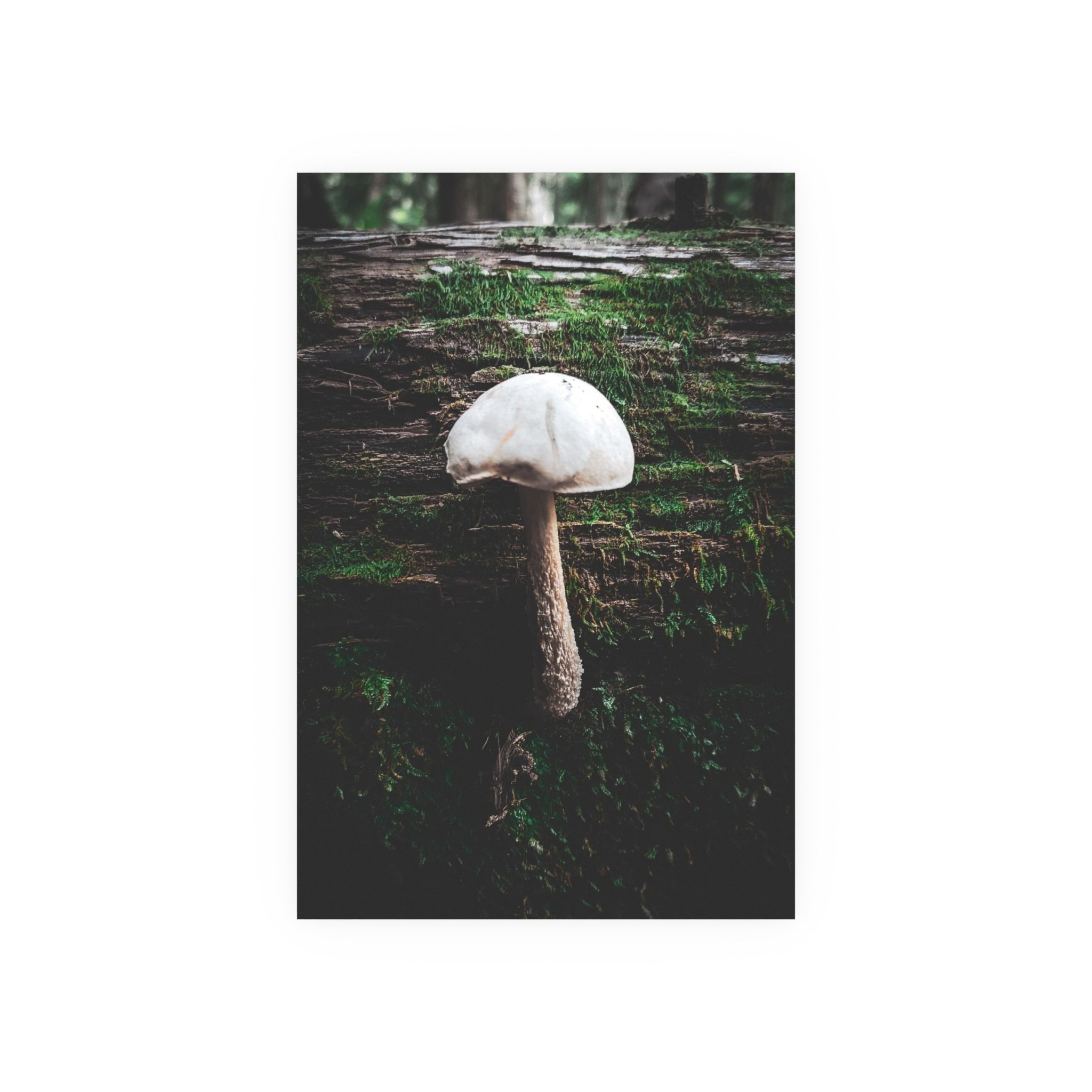 a5f4f4a050399c11615f352856105ba5