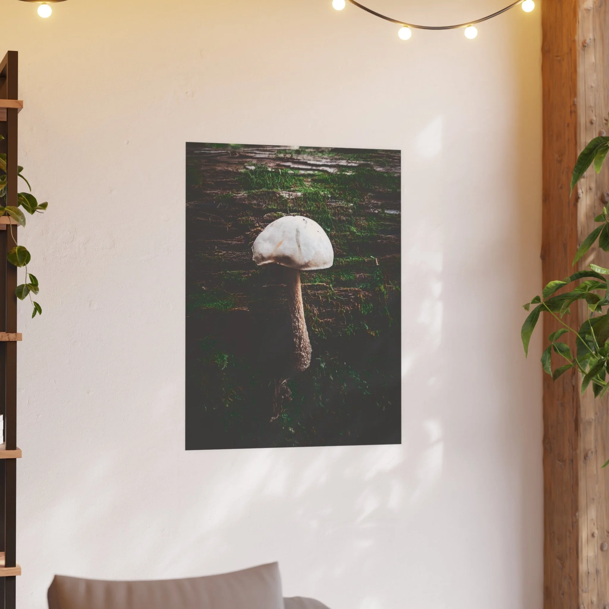 bb026221b12453e49914b0ced5a6a89d