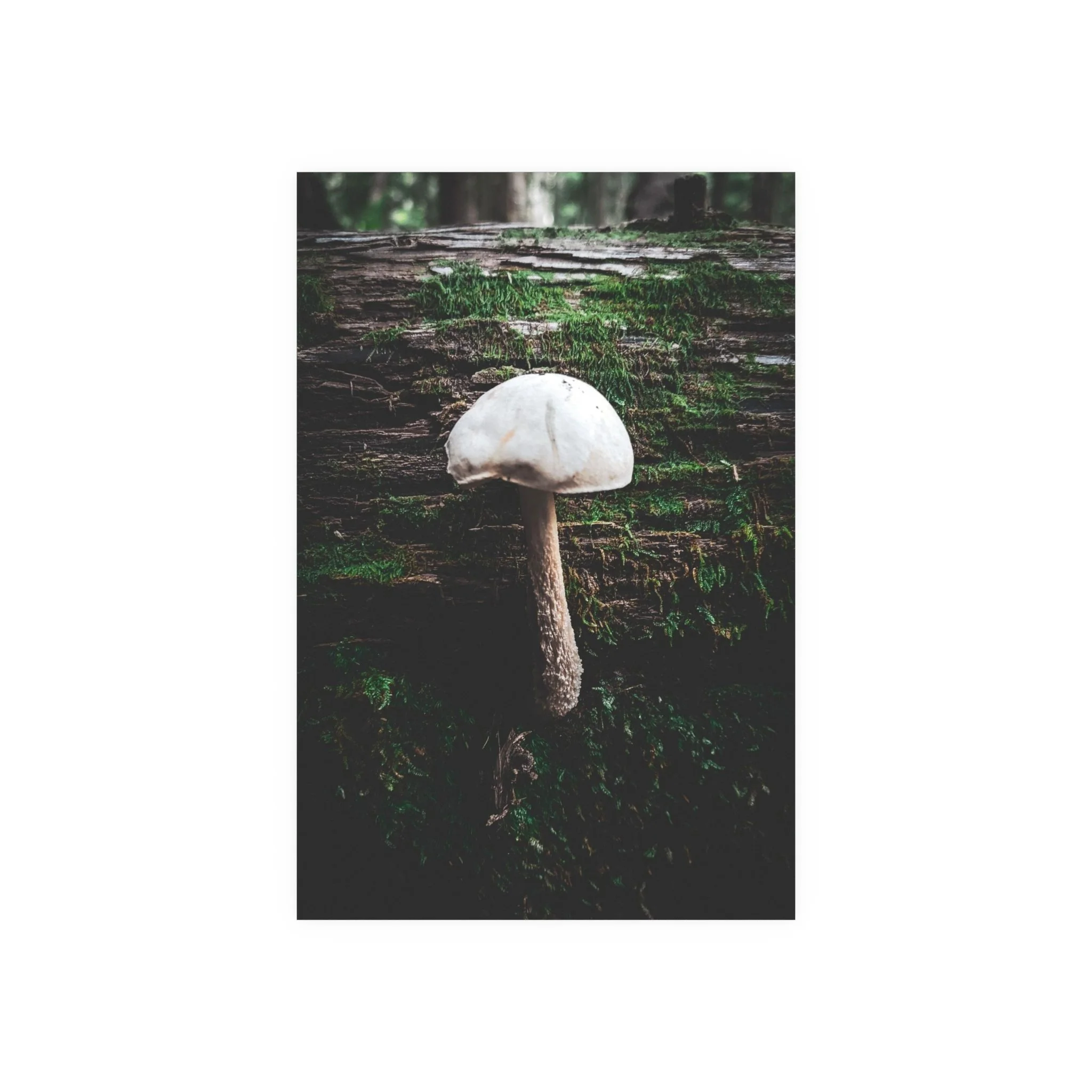 d1c52cea7bb4be4116a9bd23bf11afe3