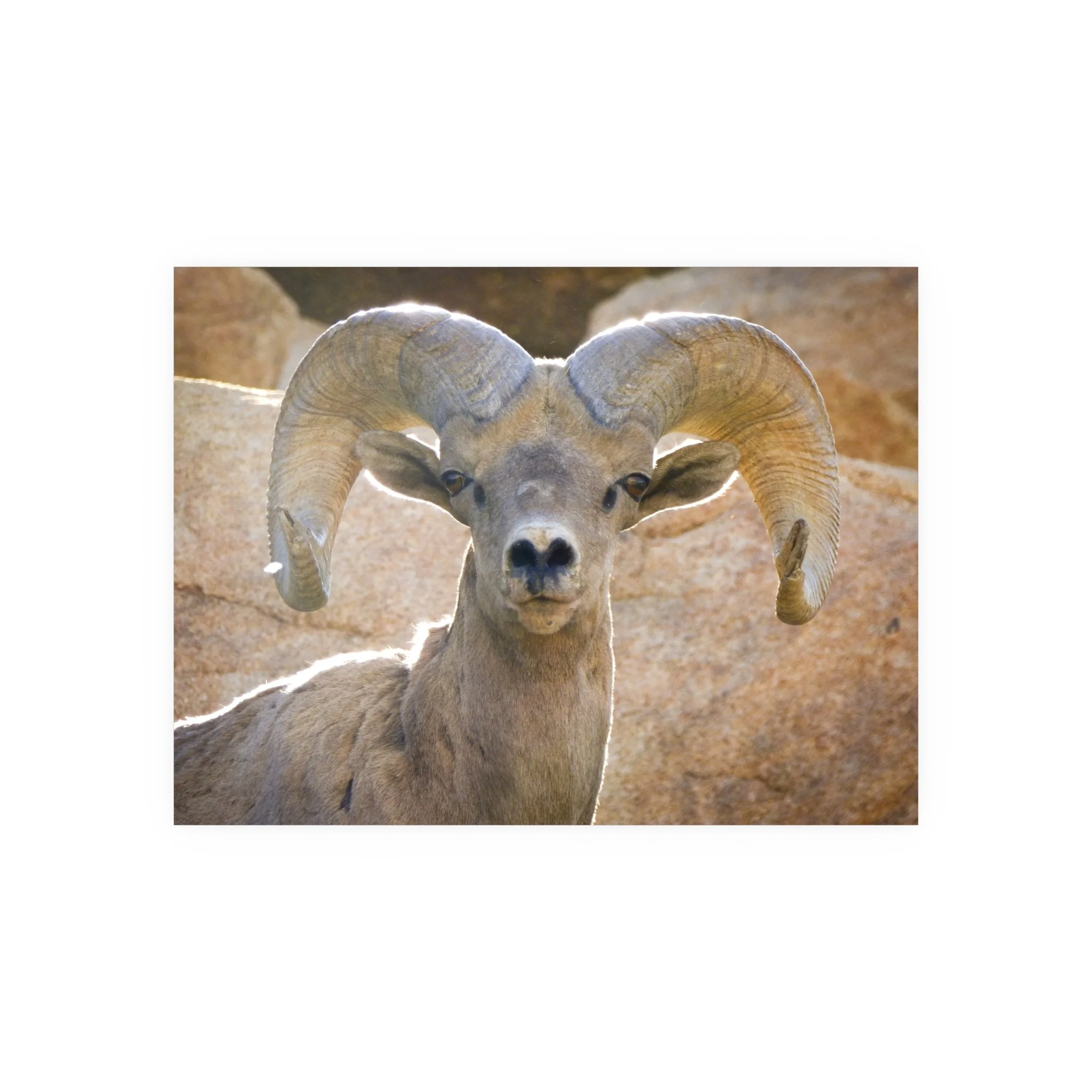 f050c969539834fa50c511761957d960