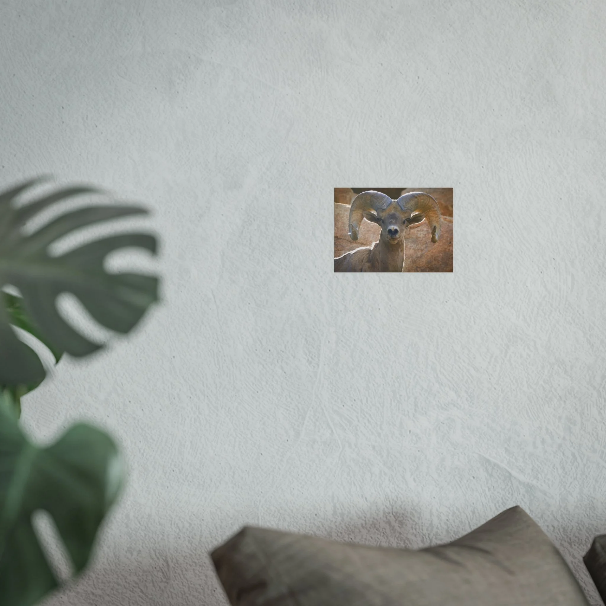 5a5c3943b186e9758405ecfabd48da6a