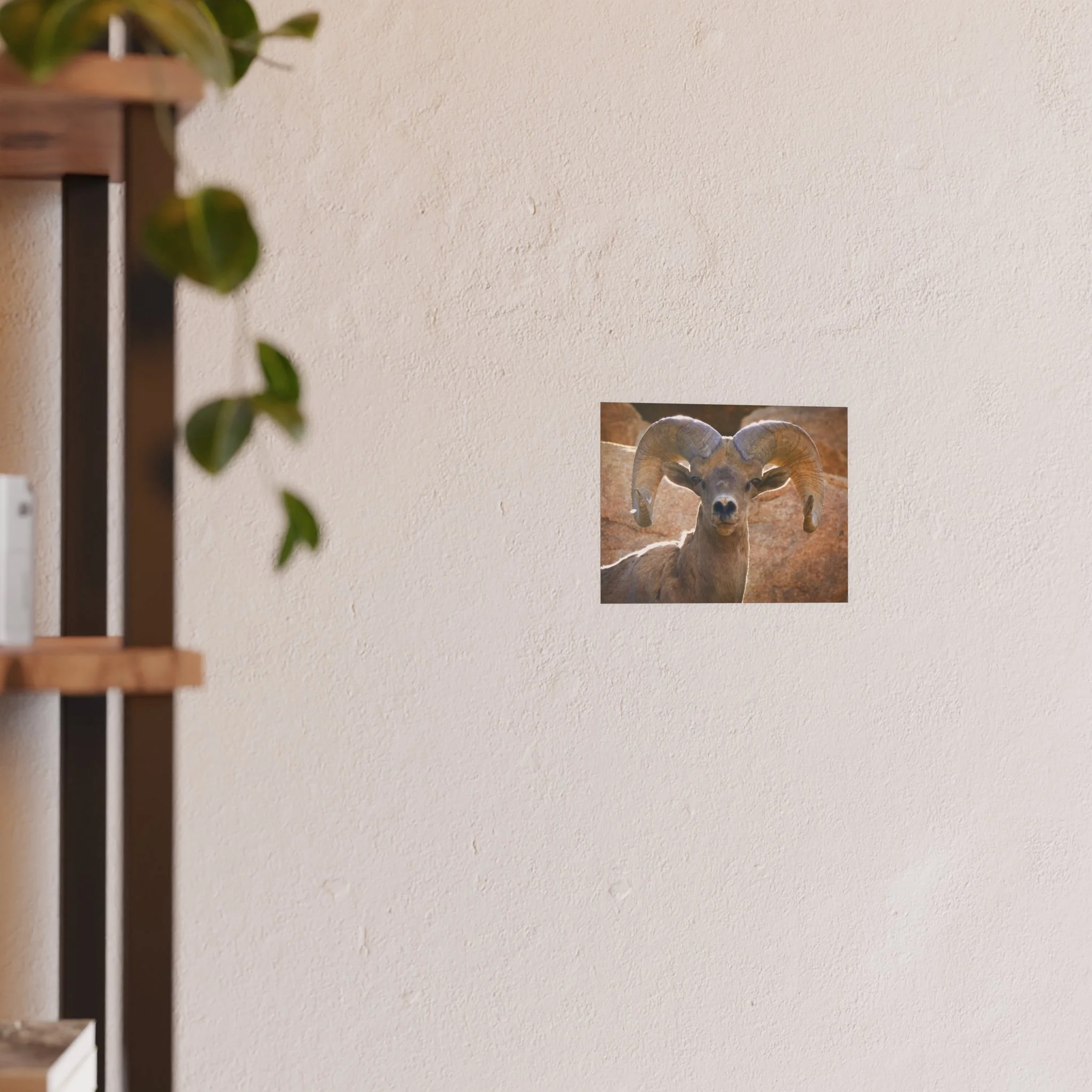 f5db438ec7e83f8965e859bb3beec804