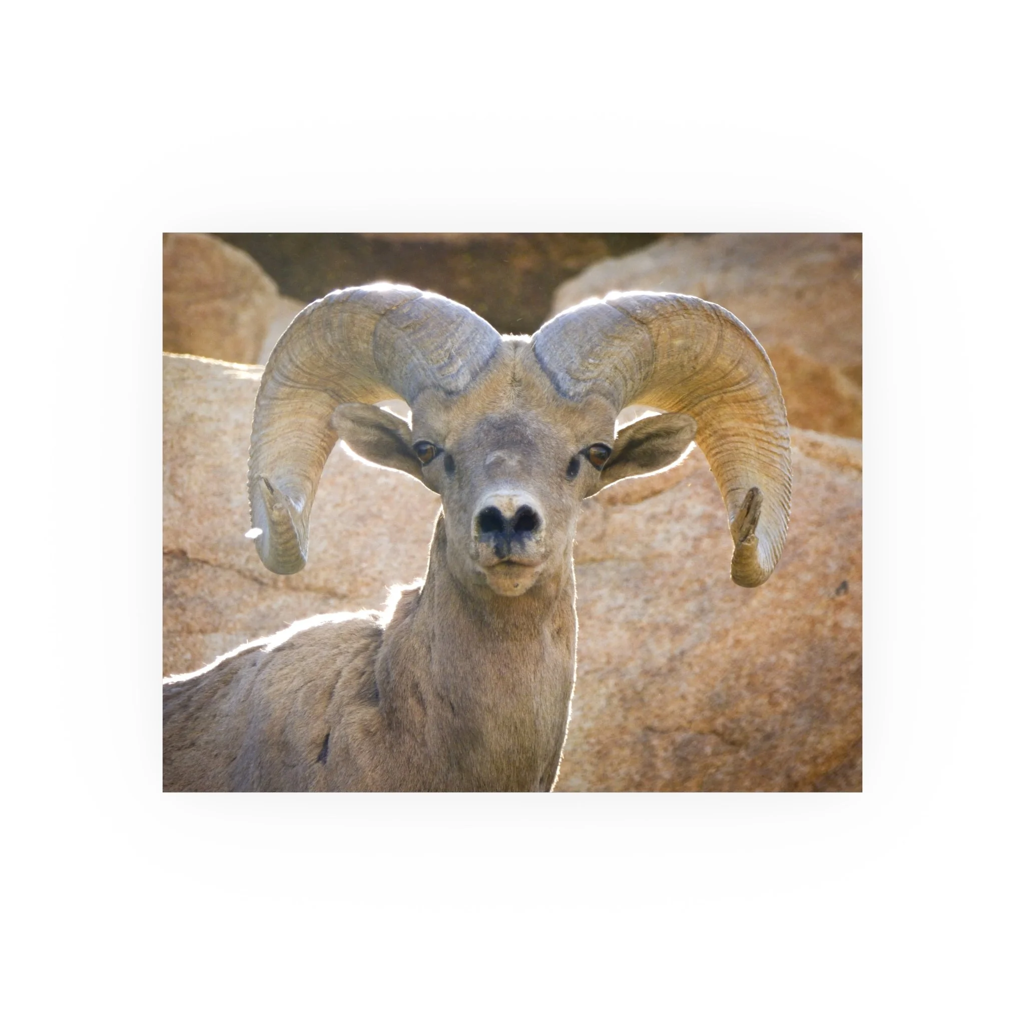 0fdf676ce230877c298bcf70c21df0e8