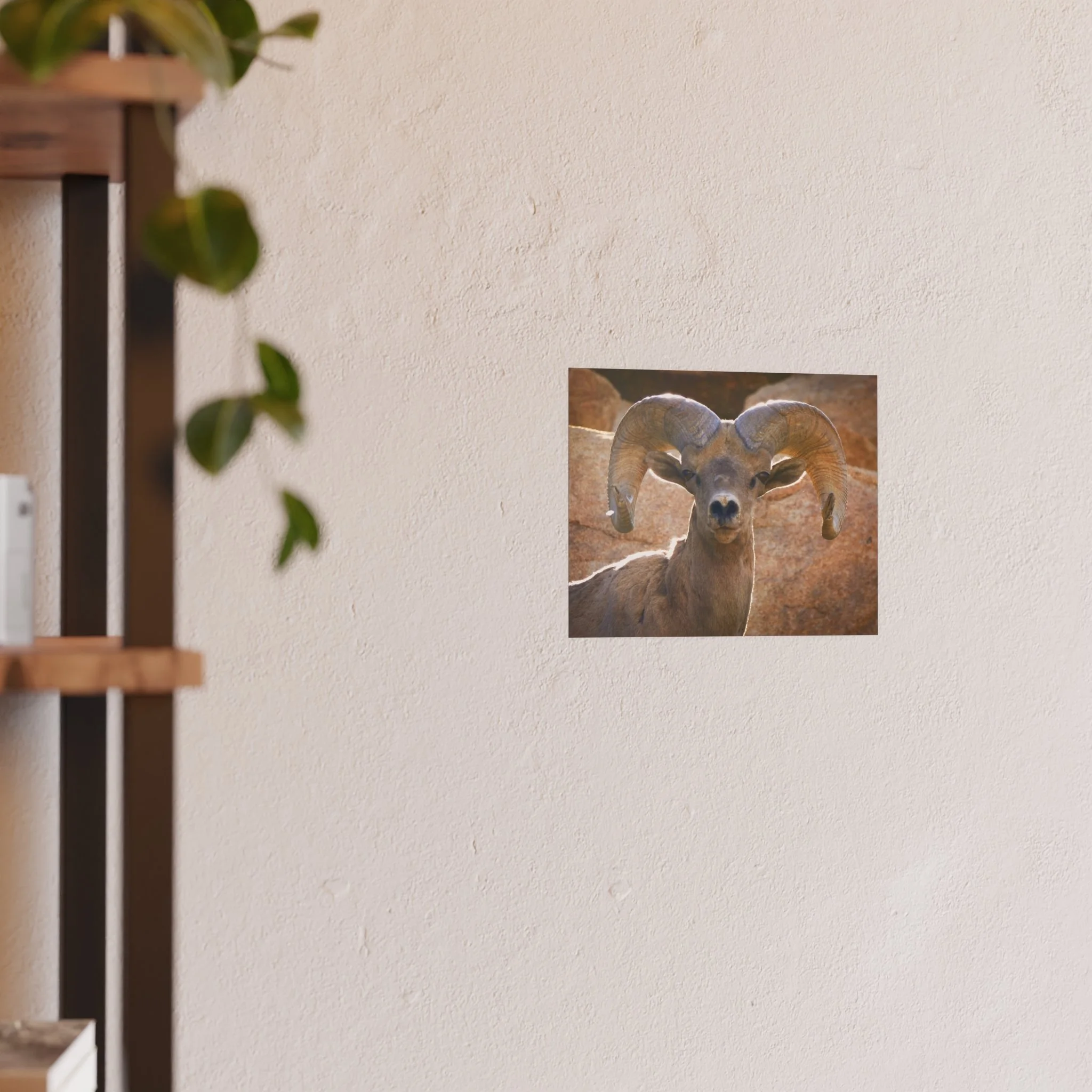 ea982ae35437216502b7ca27900ed5c5