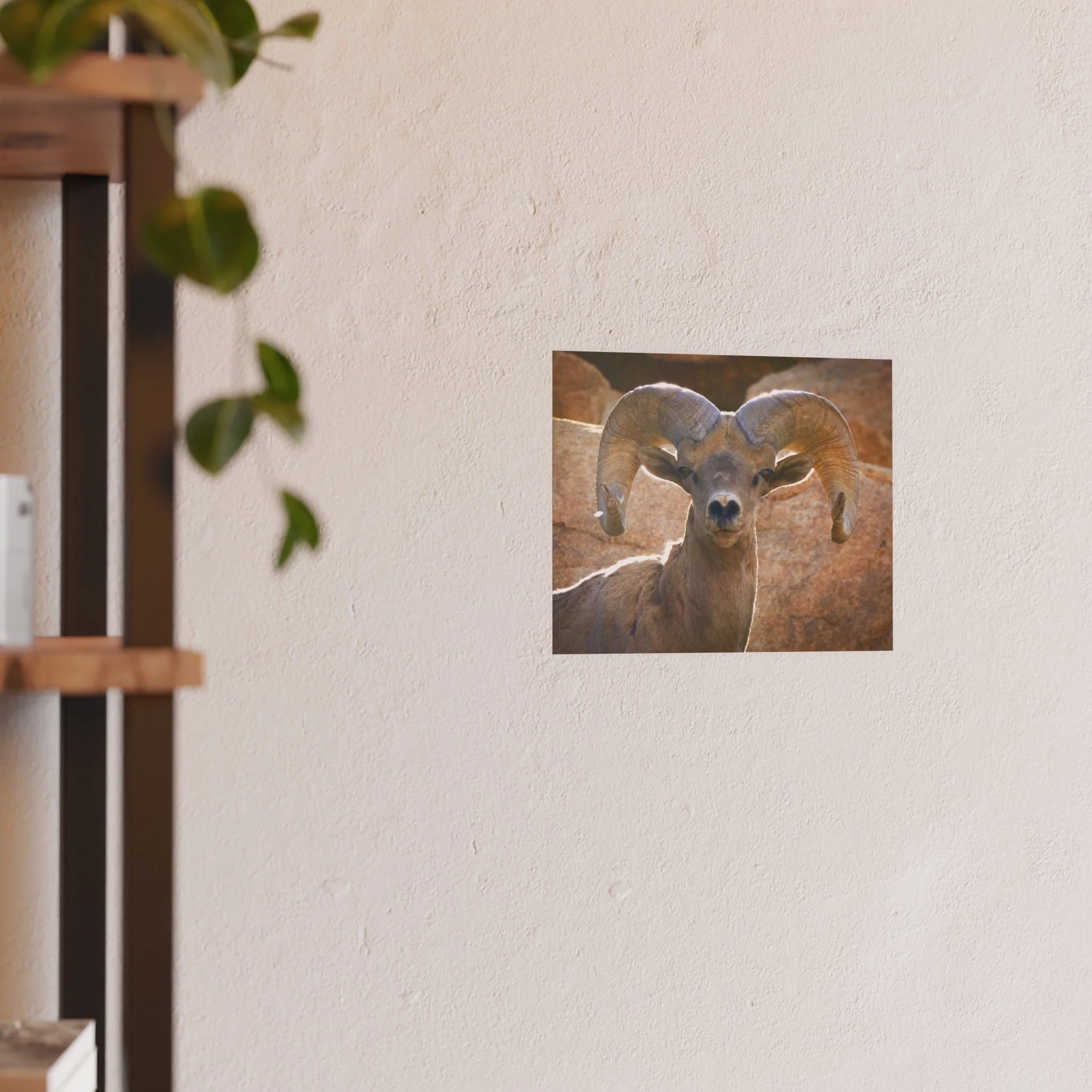 d7f850d94fe071e2dba60436ea77473c