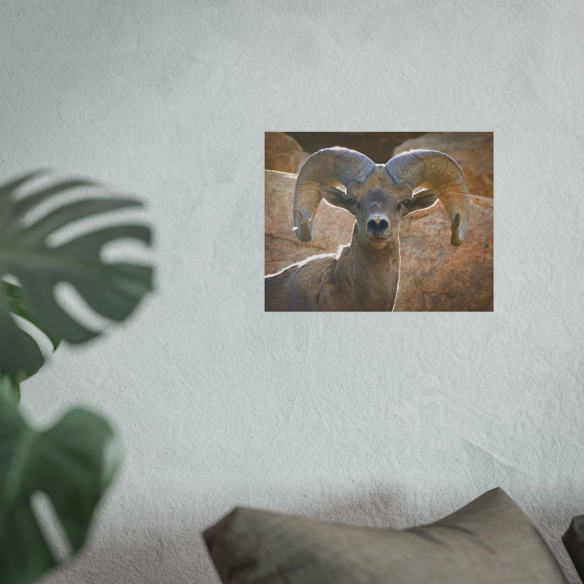 3467169f92ef4e002cd7854d678bb439