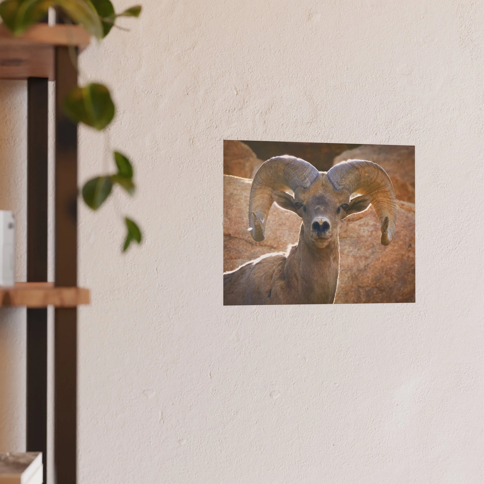 3f8f39c1ce22d964c919f82de19b48e2