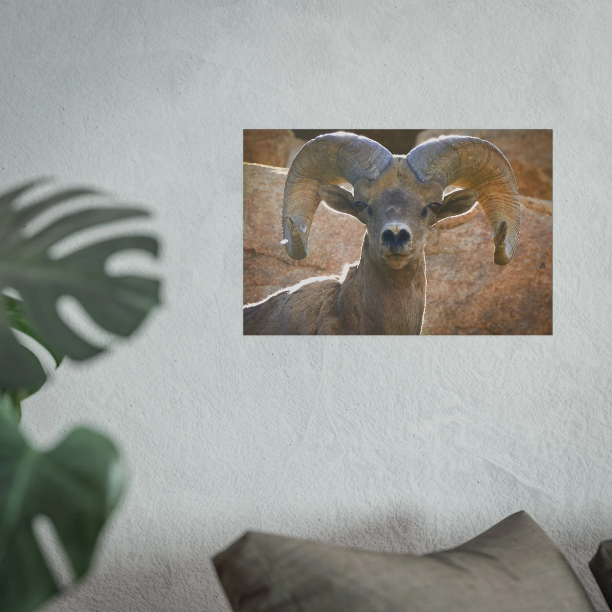 0ac6a9712c87ed5d0c702a06f1fcdf0a