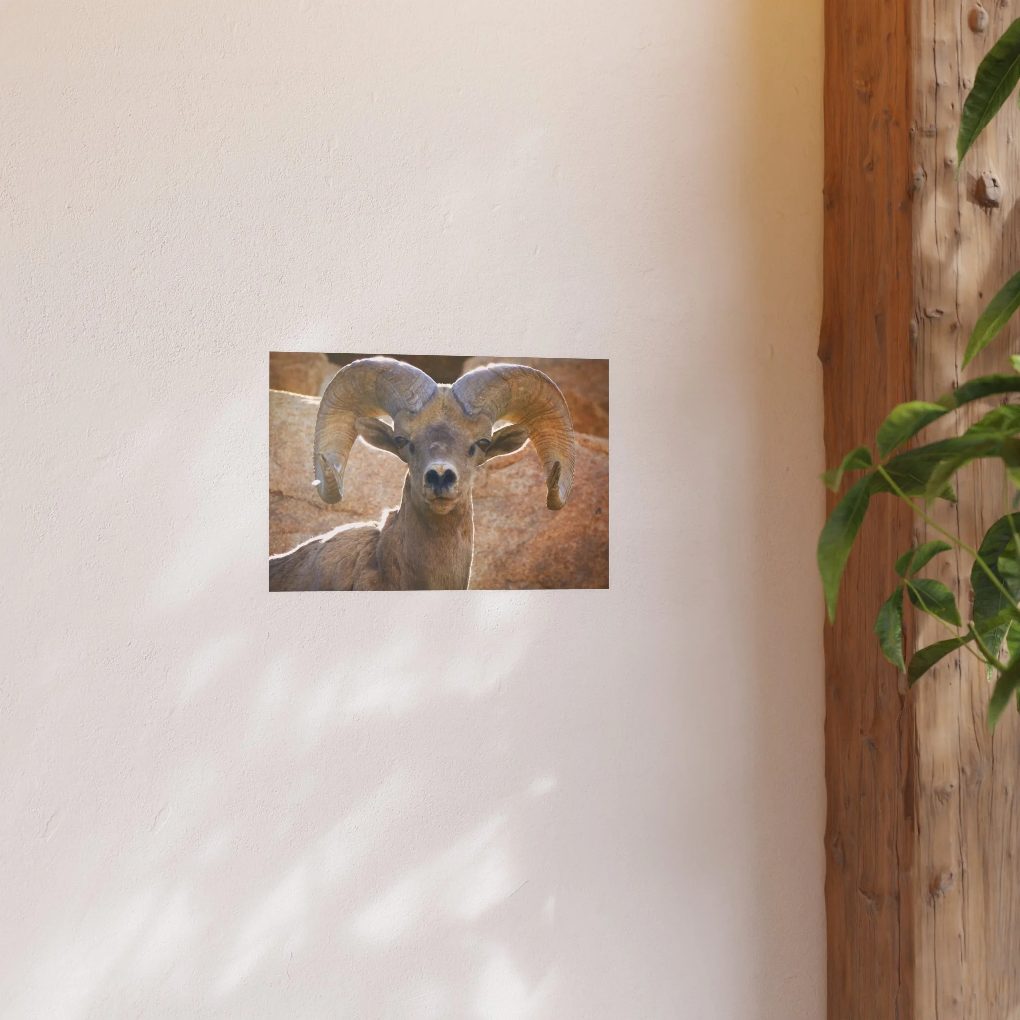 213d0e164c4831b037888ea70d24ed99