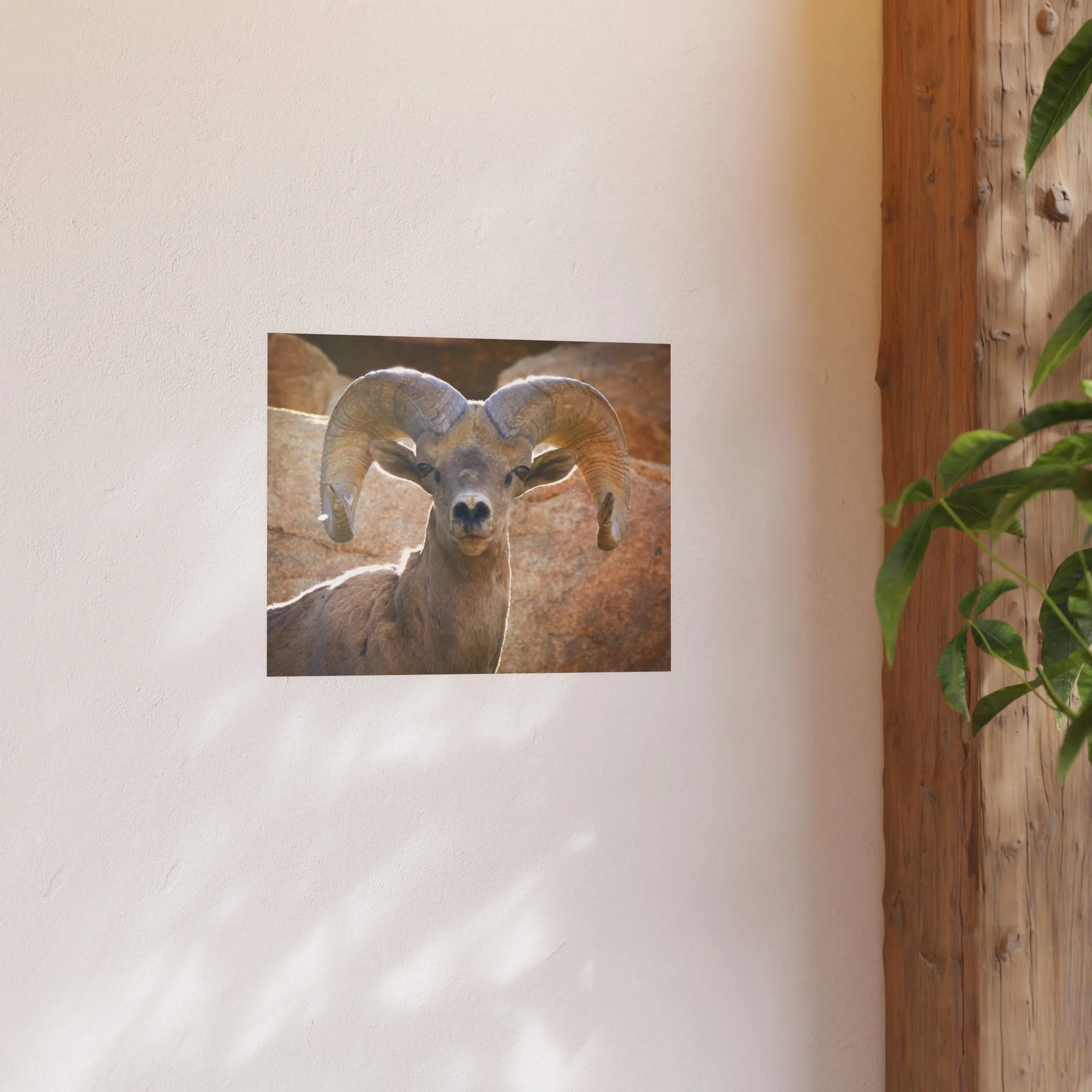 a14dc99949235ac6d673a517e68bff1c