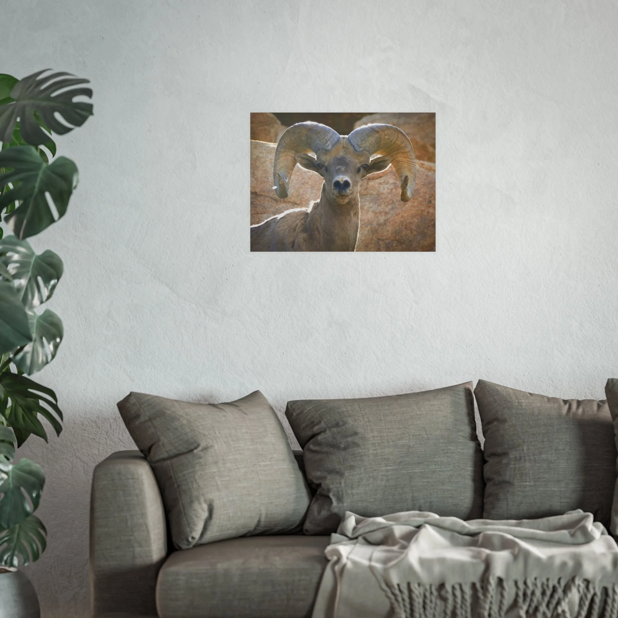 7764d2cdc1497af927a158d49c616408