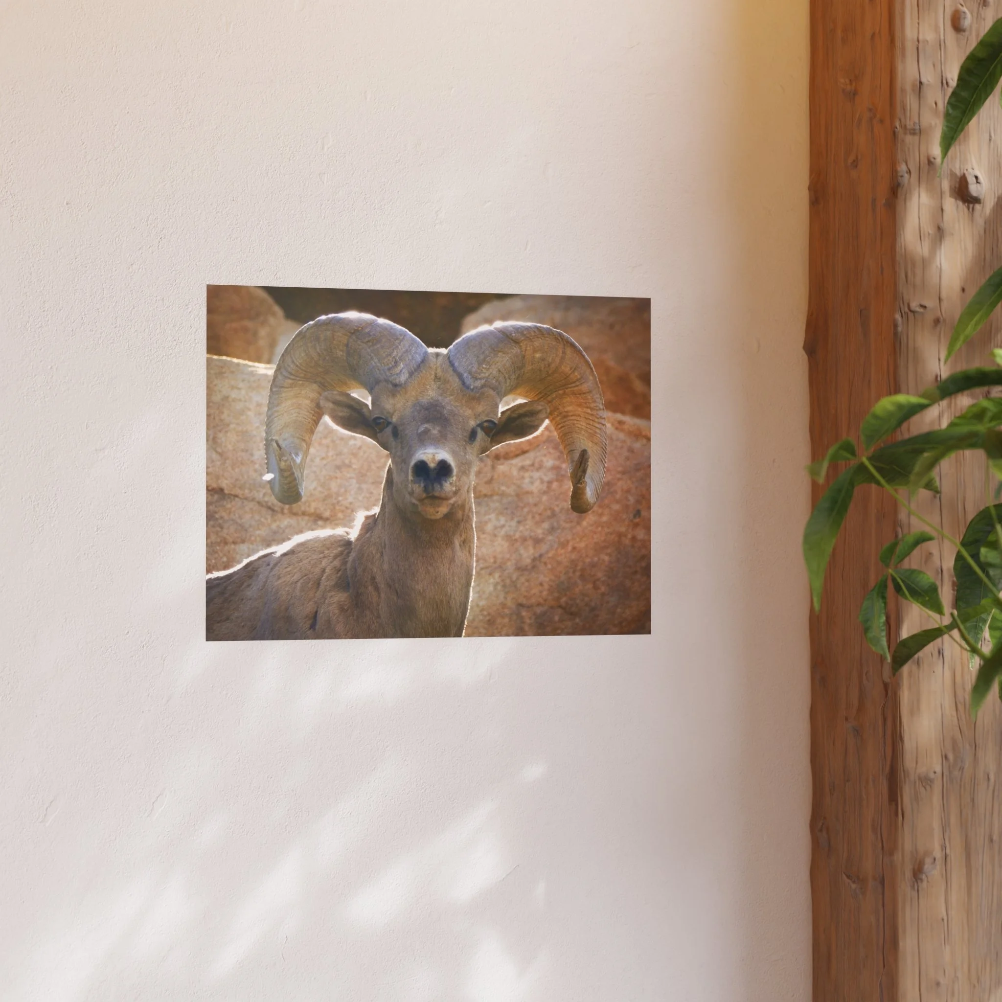 3d1e4bae4bd78285848372fa25bf2f7d