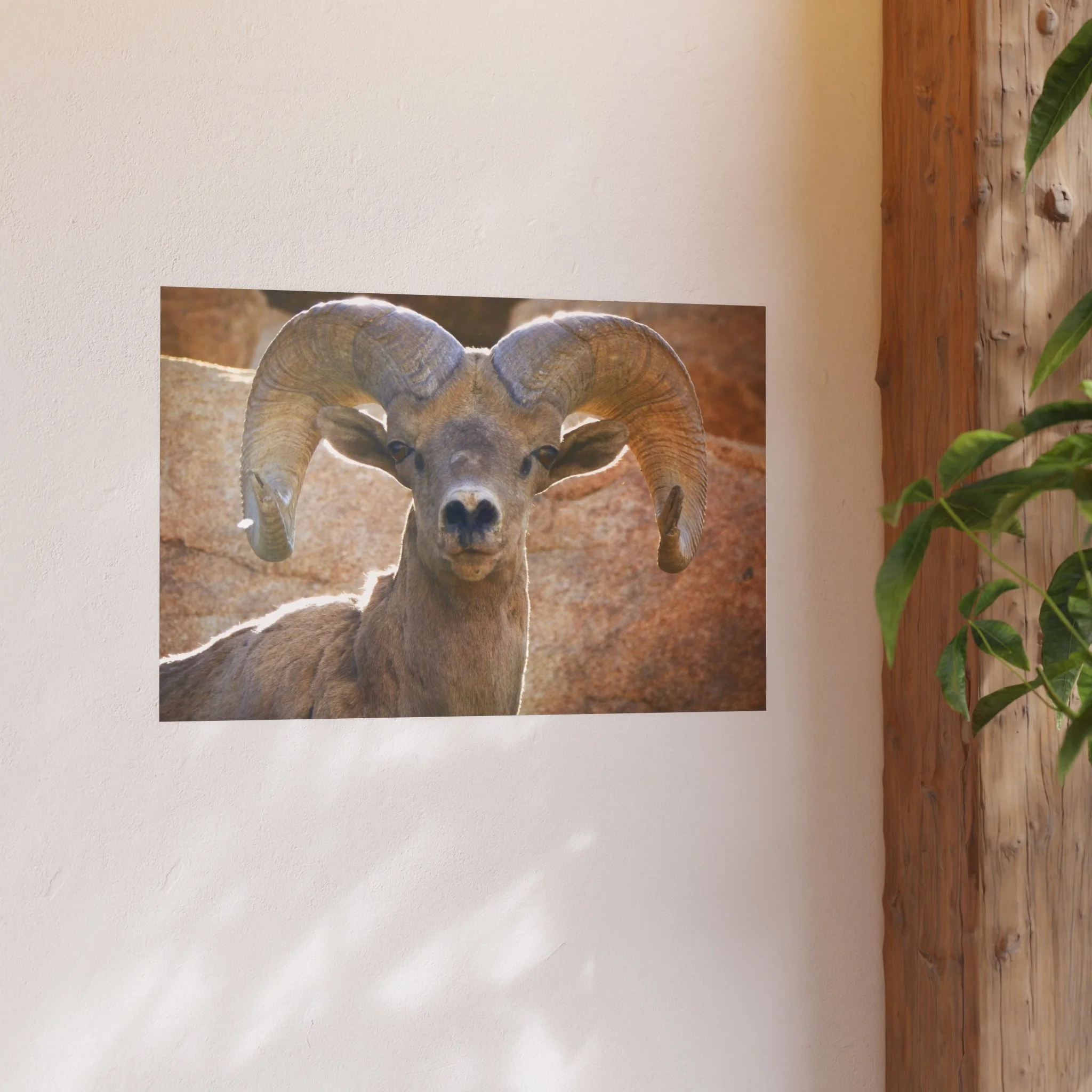 e0400c02b9d2a11d0daf4adc59a70dc6