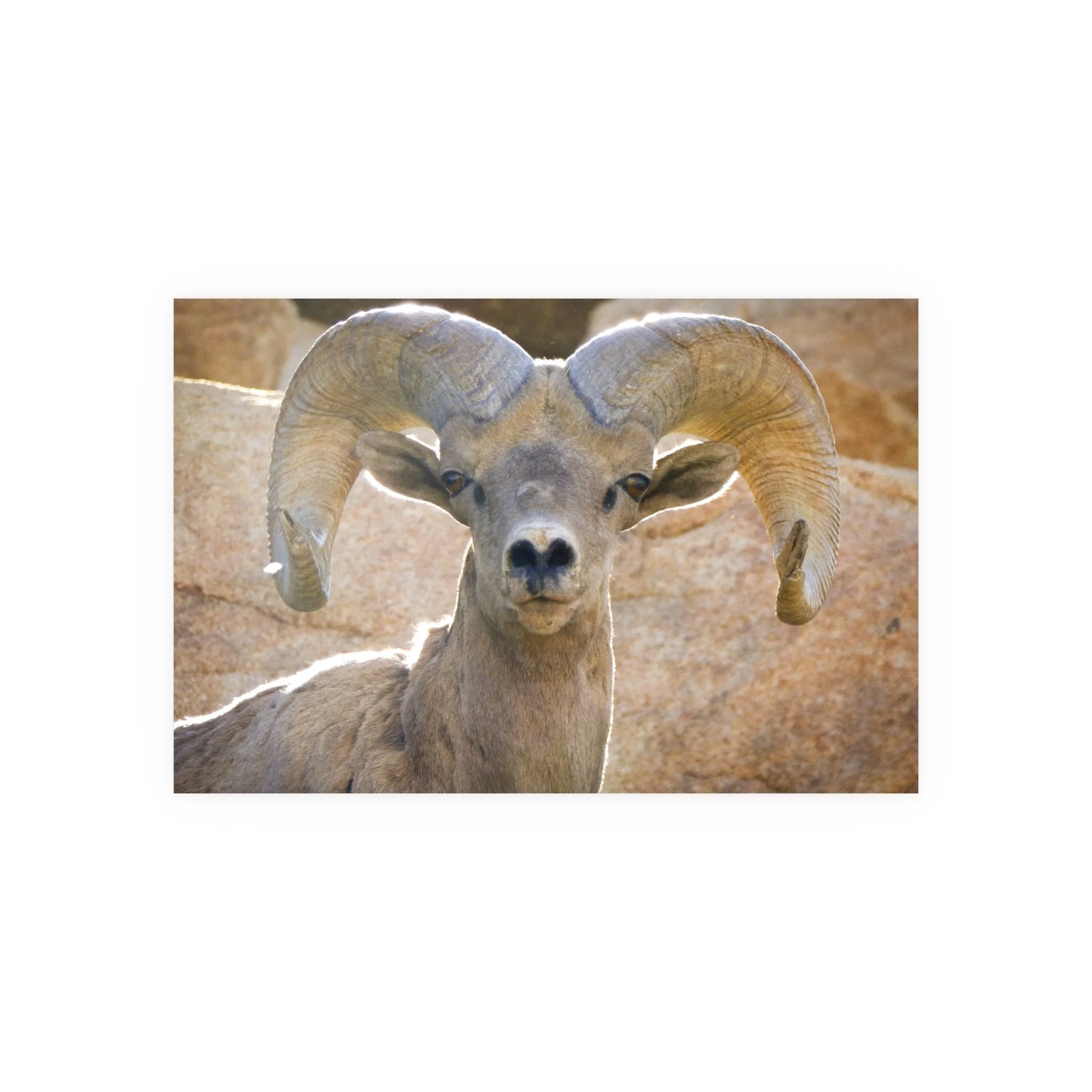 1f1b808663aec54b61fd774ee455d0b1