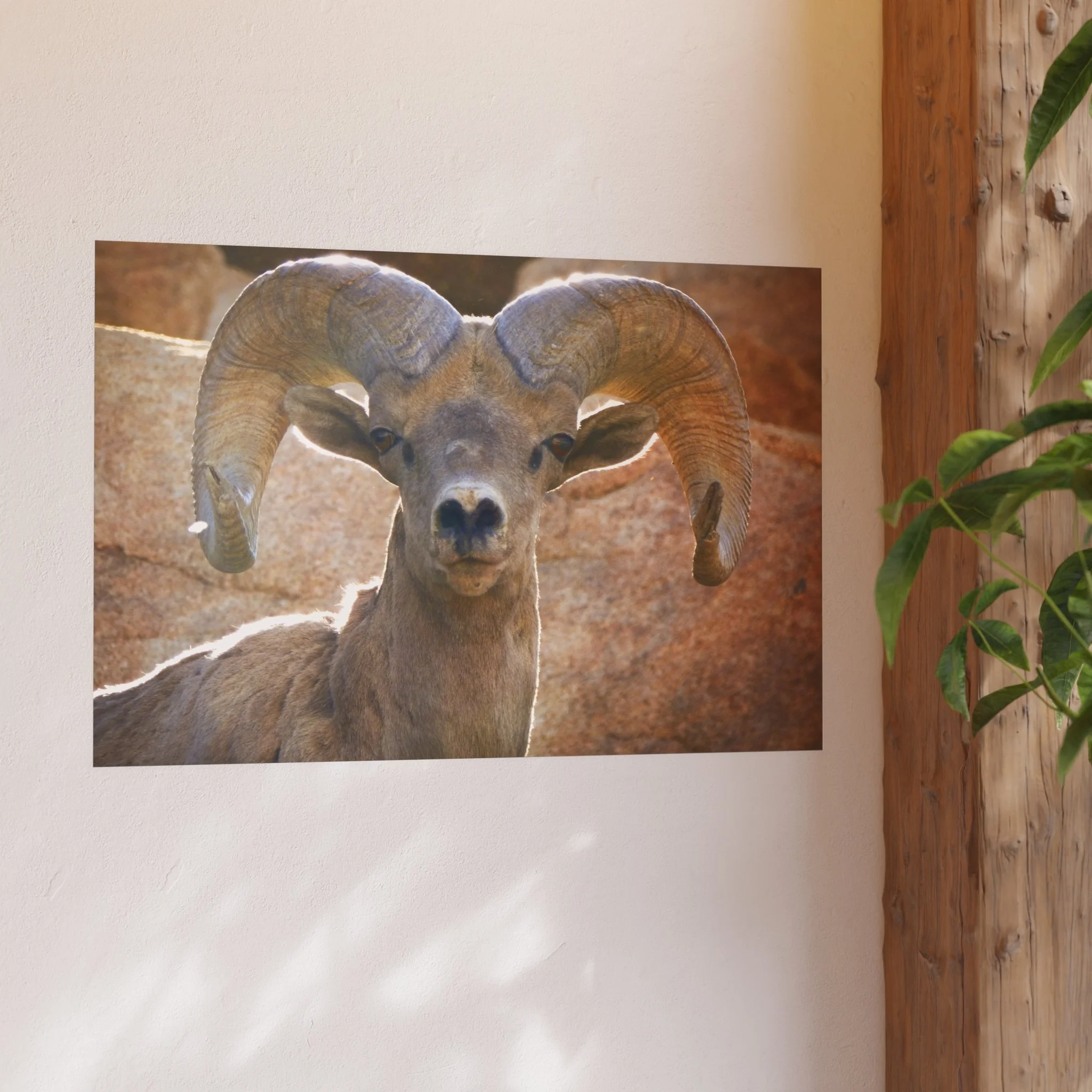 0cc165a6d10c2bdd74748fca7a7552fc