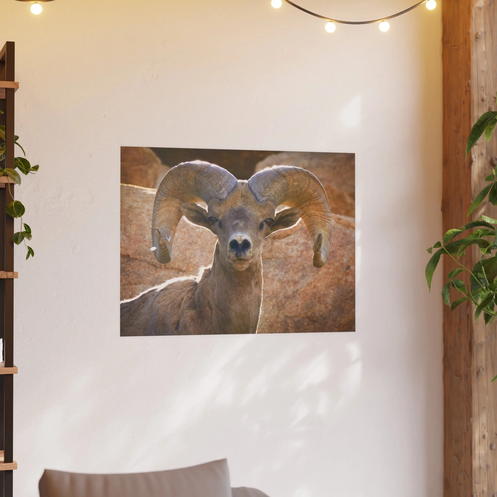 5441ad0579fa8f77ada48f944cb2c9e2