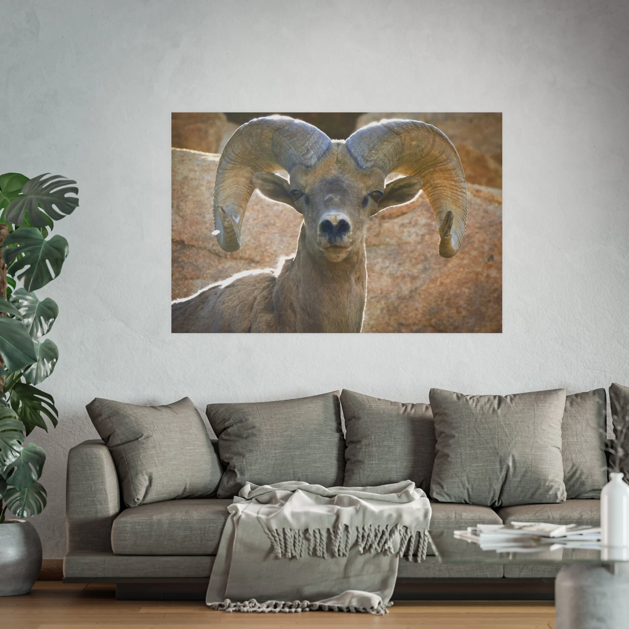 0efa26be9675e1030a4dbd8566748aad