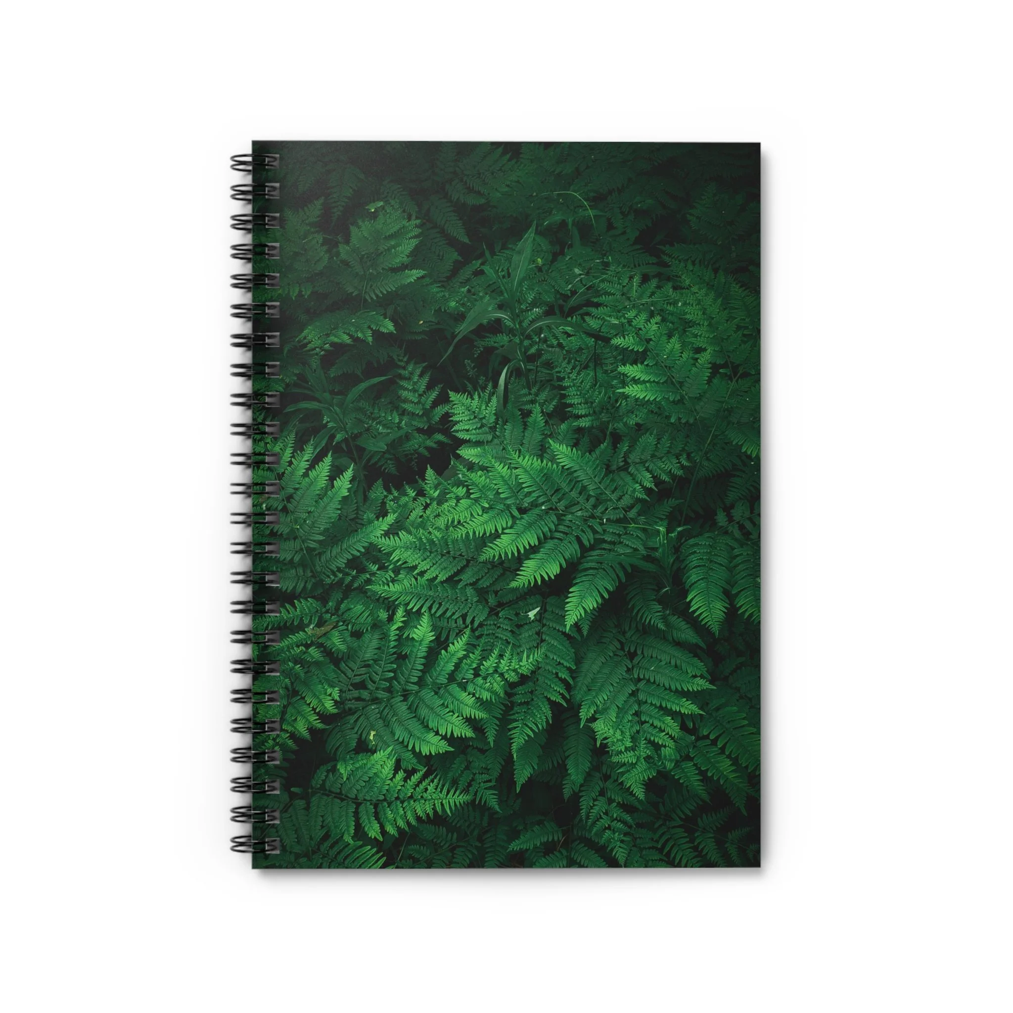 a117c7ace88cd65a9ab965a5a898c179