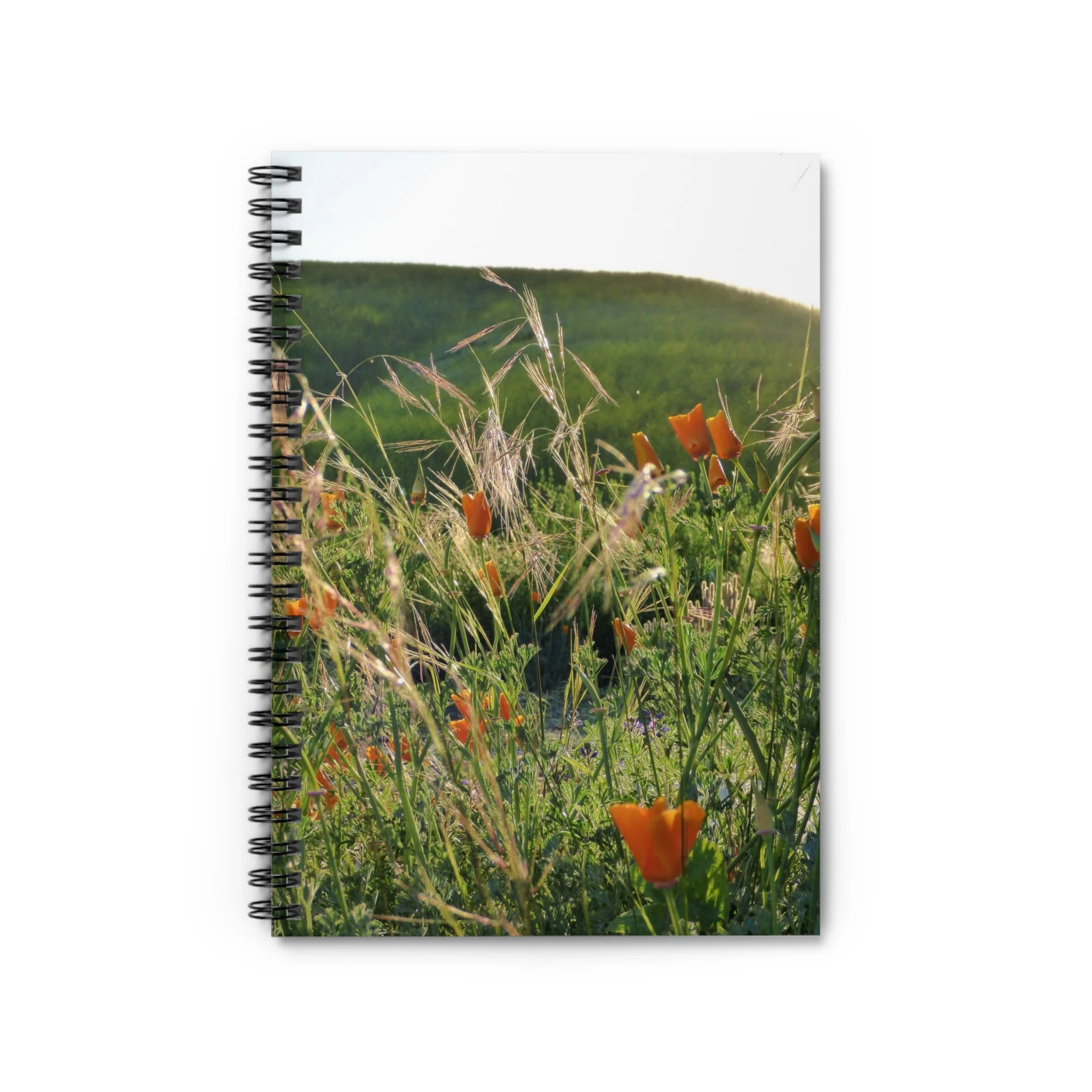 712be79eff38f683ad485ca1a13a58e2