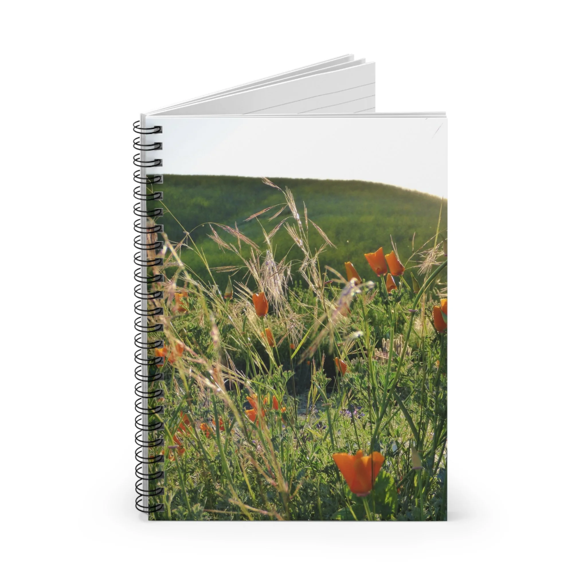 8135bd68f89bbd8df2f43729cda73103