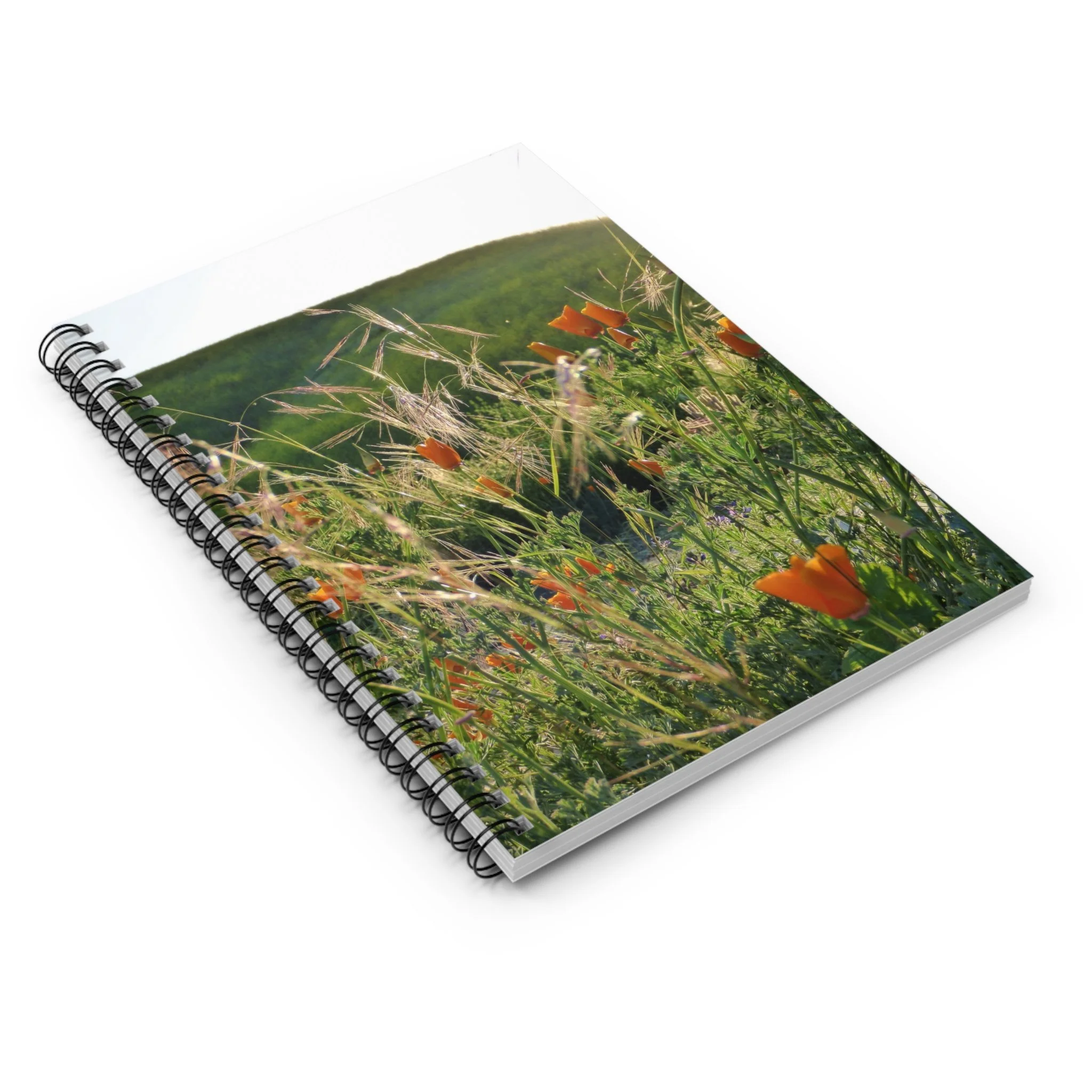 3d3ef77c7b2edacdff49934ae36f4ef5